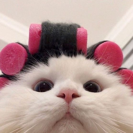 더블류 뷰티