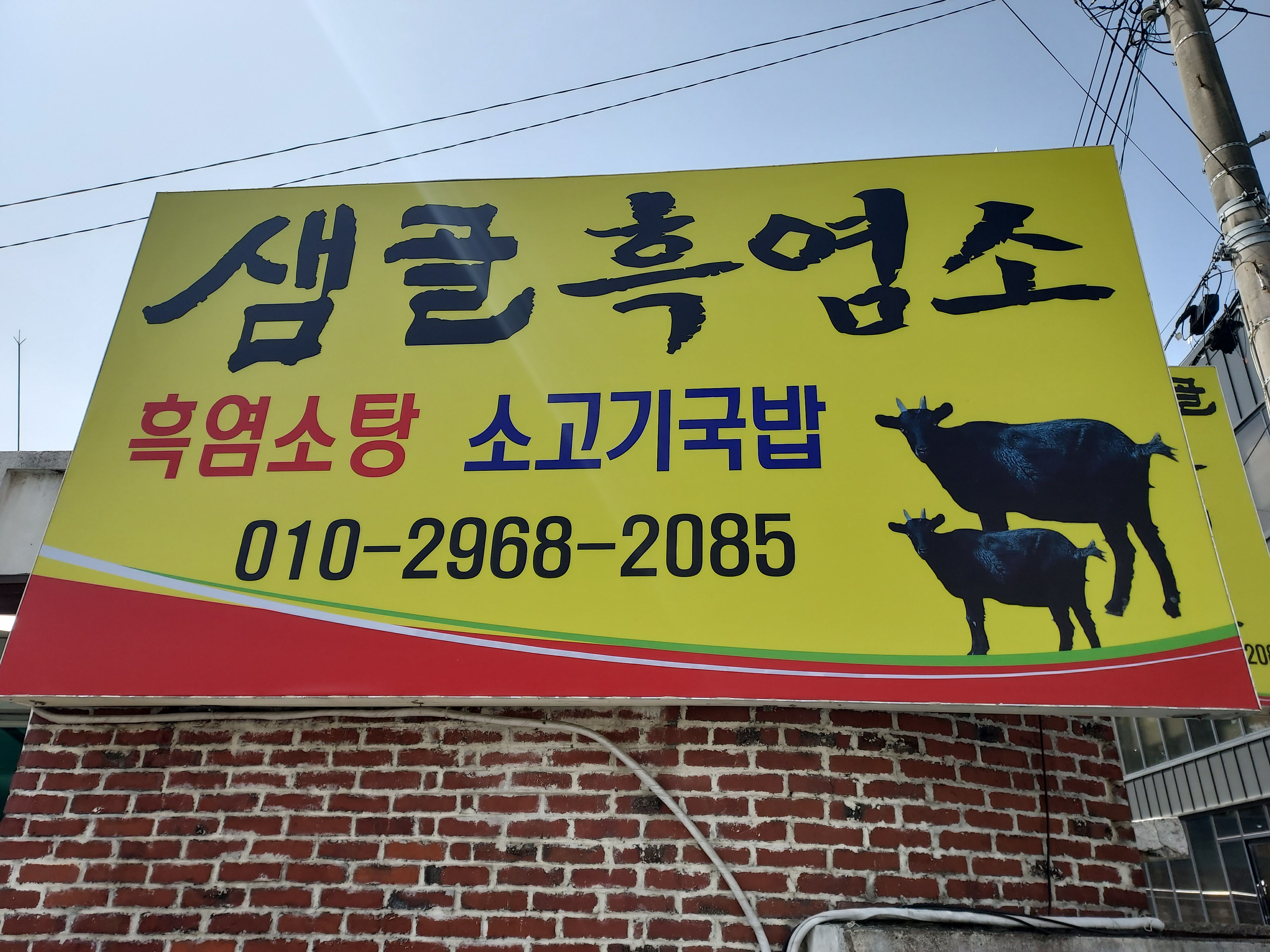 샘골흑염소