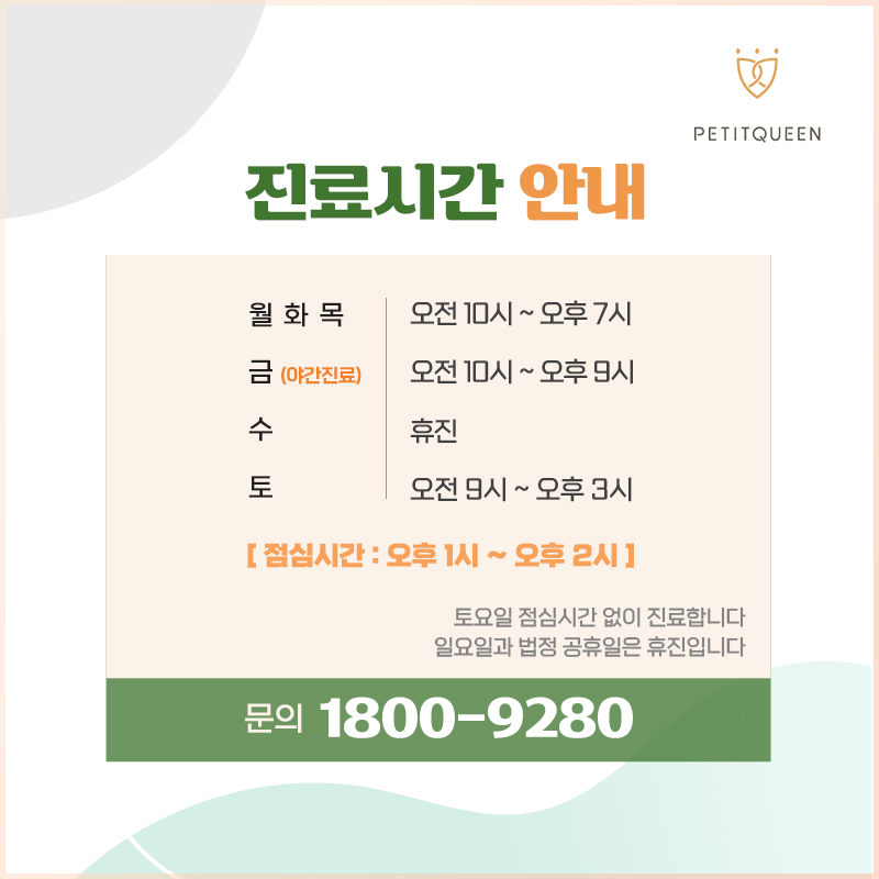 쁘띠퀸의원 대표 이미지