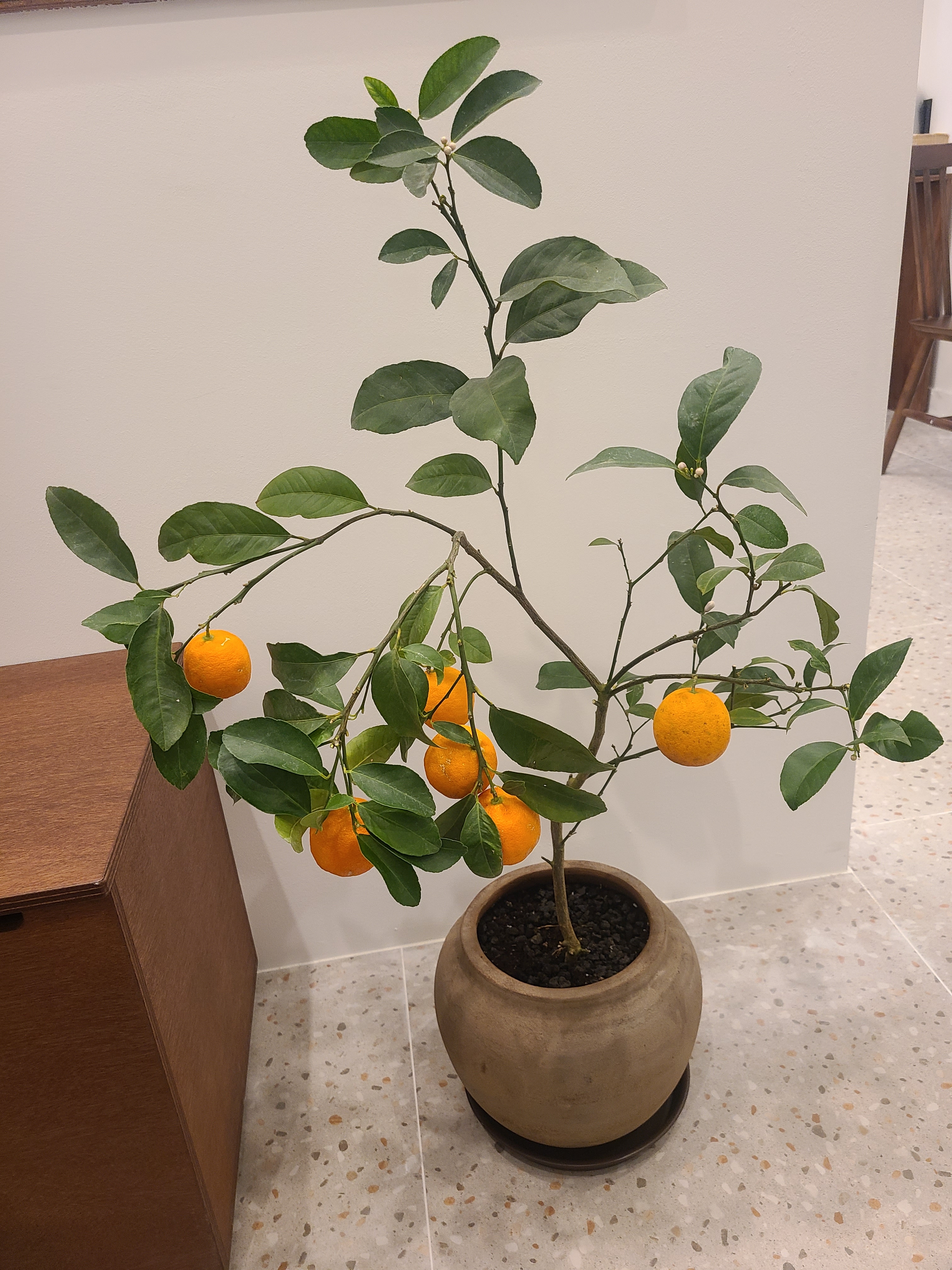 업체사진