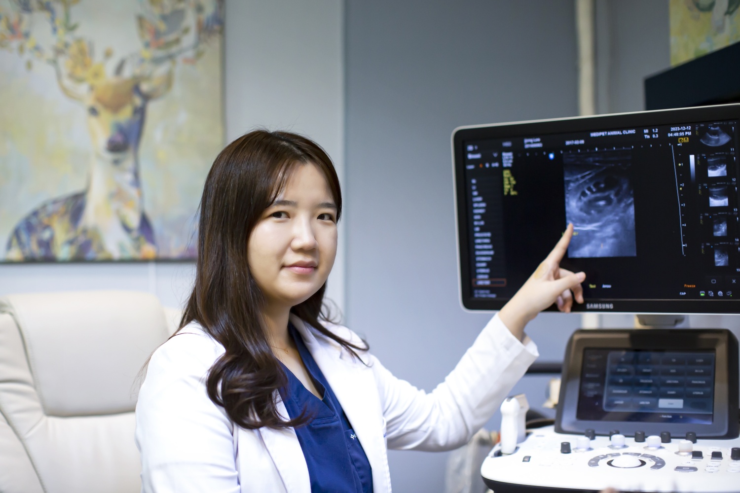 메디펫동물병원 대표 이미지