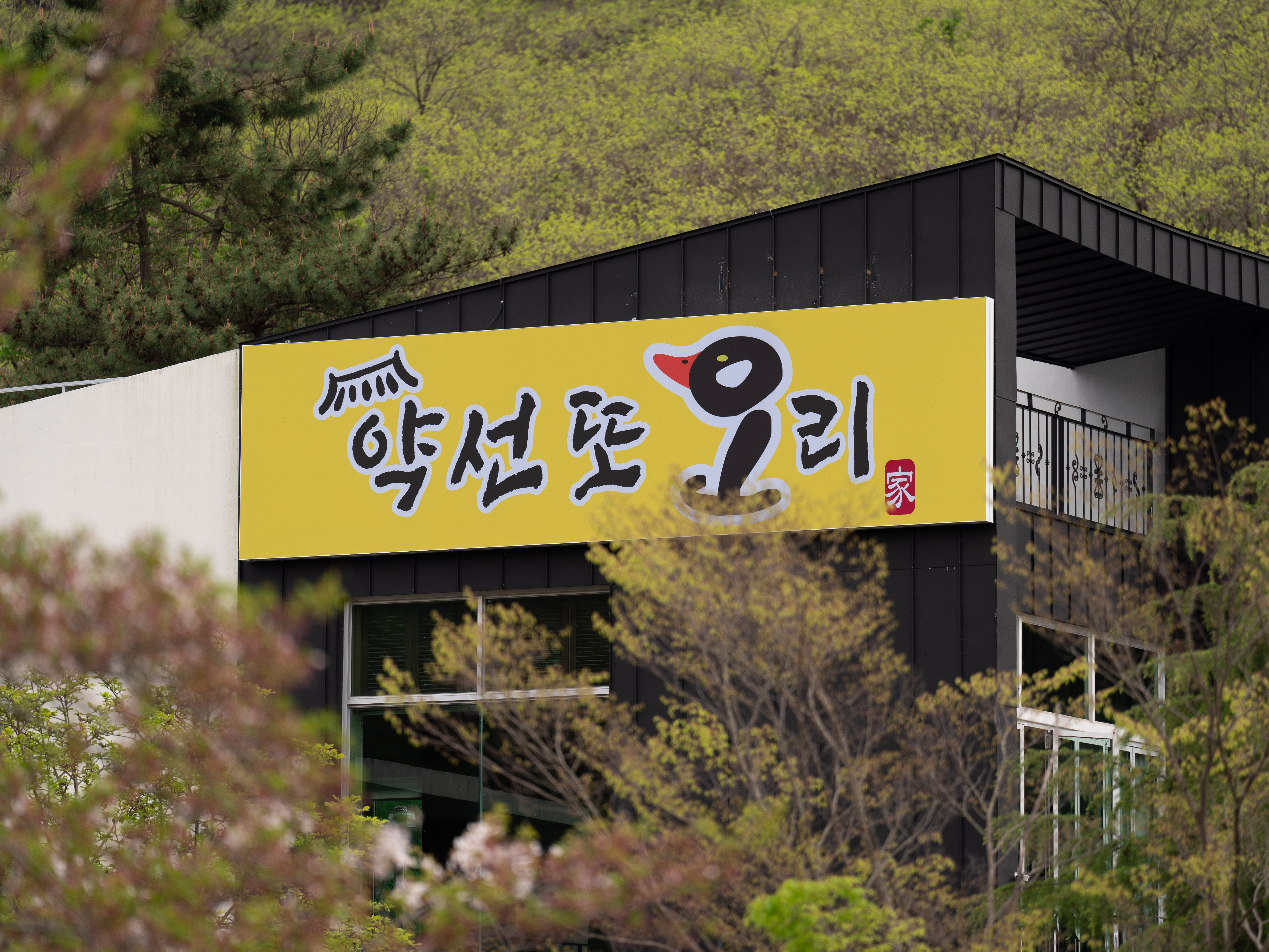 DA.dodo | 경남 창원시에서 능이백숙맛집 소개합니다 능이백숙전문점 방문해 보세요 약선또오리