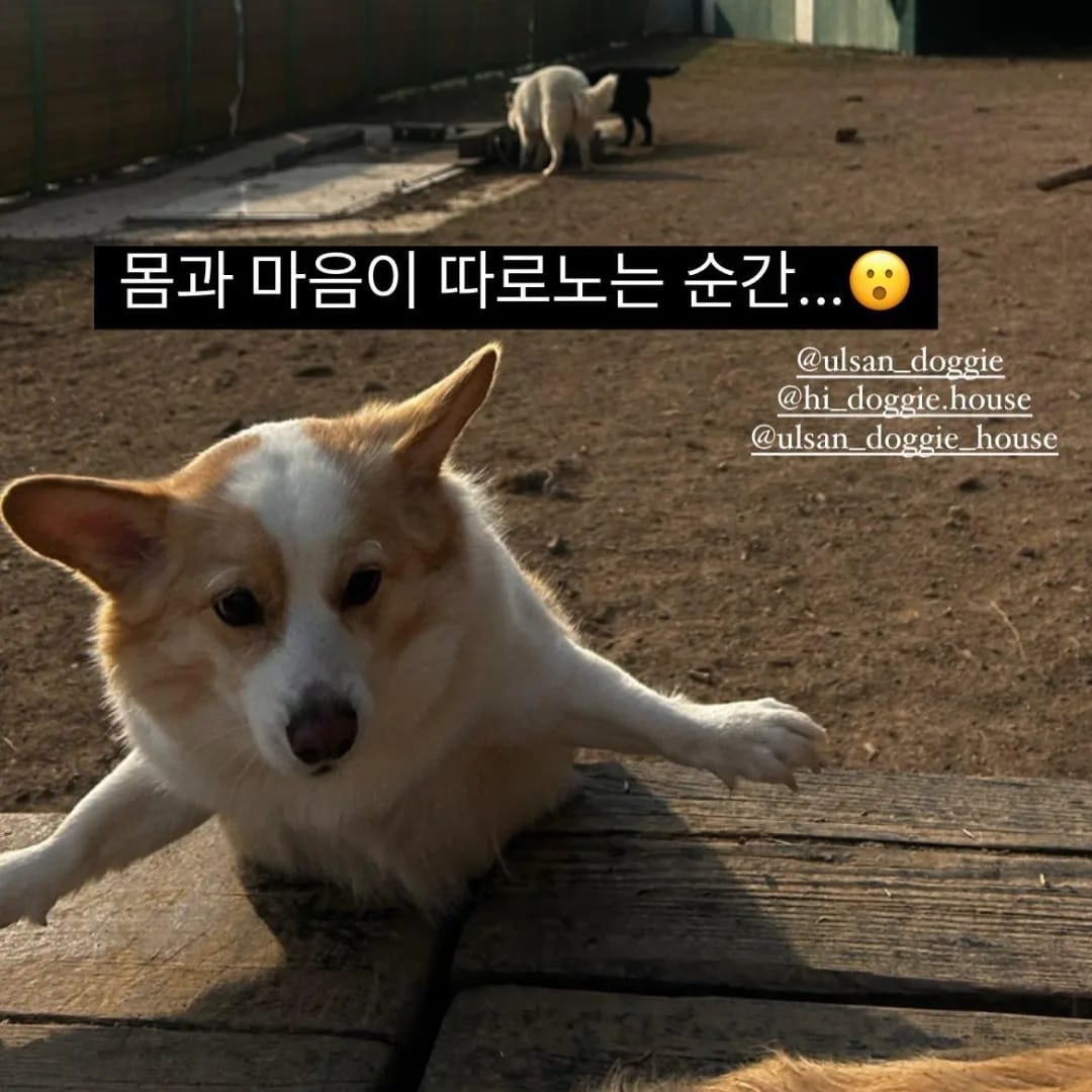 도기하우스 대표 이미지 - 자연 유치원