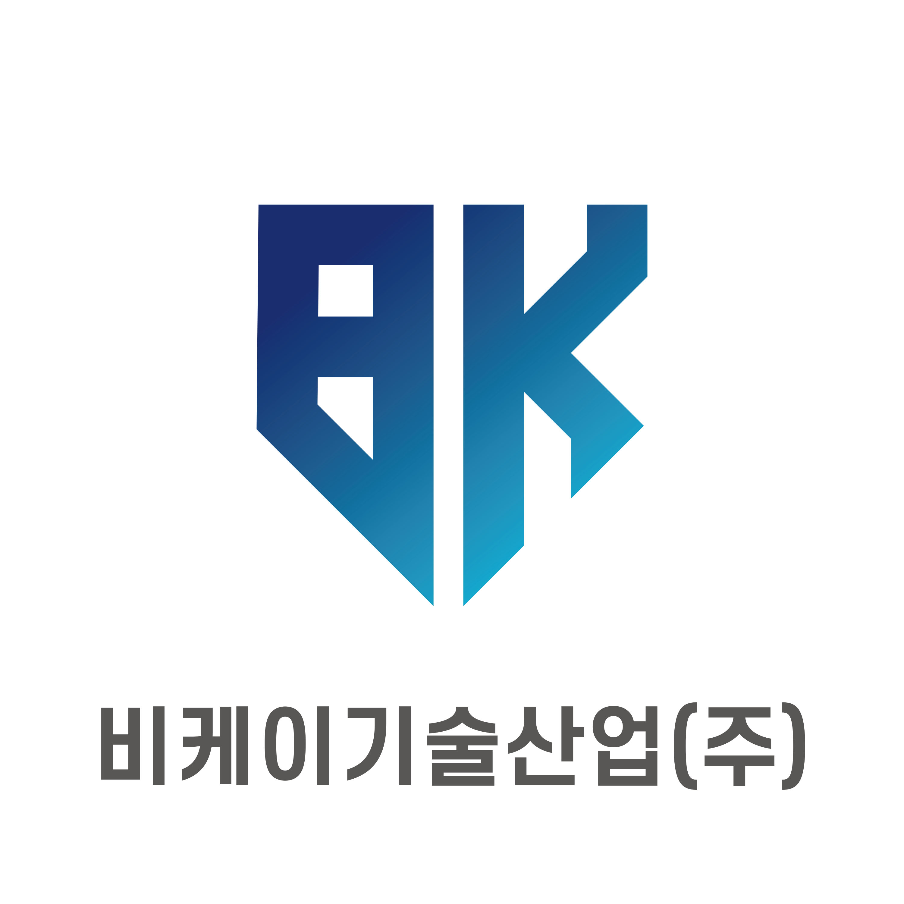 비케이기술산업