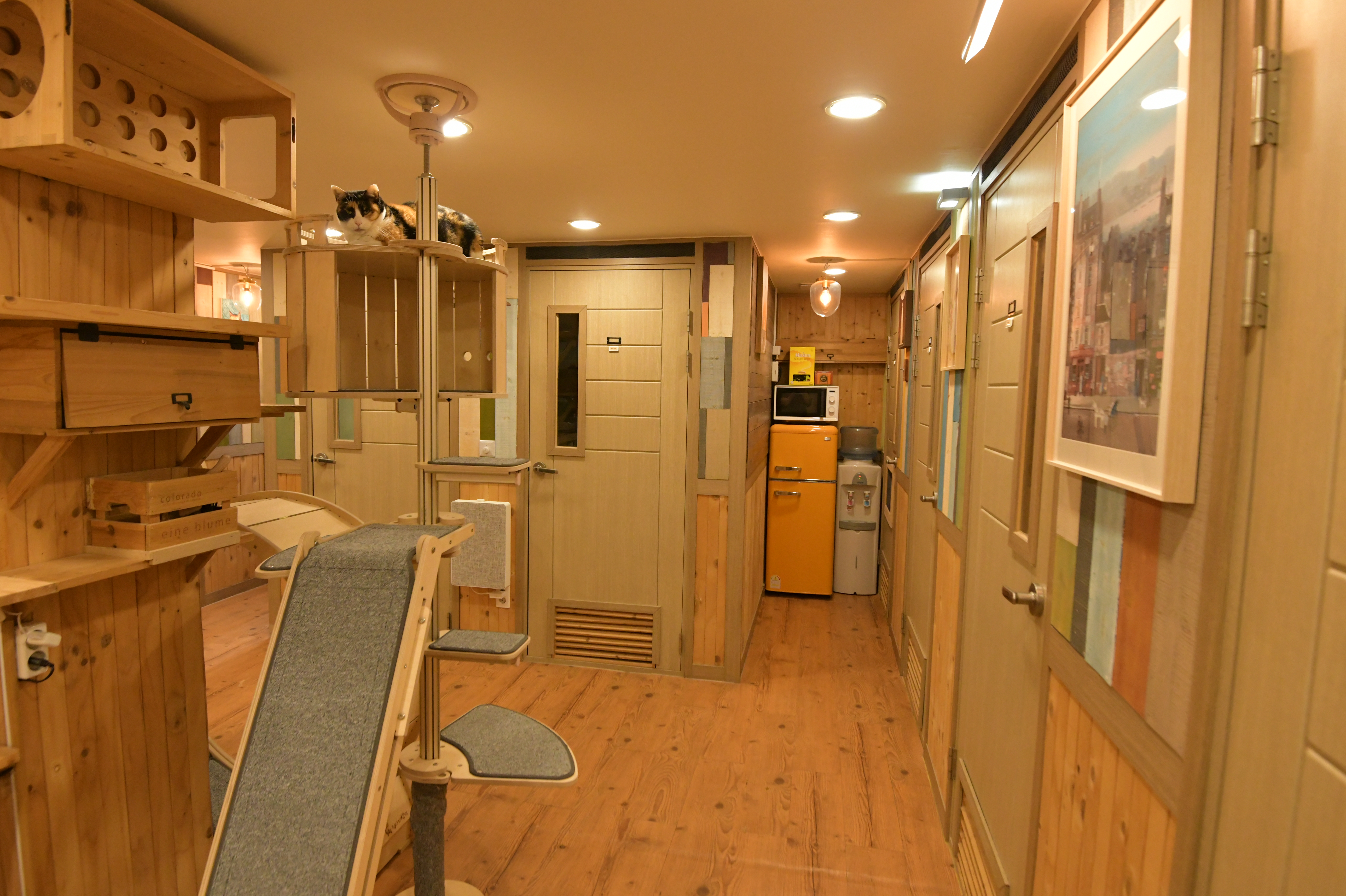 모모의고양이호텔 대표 이미지