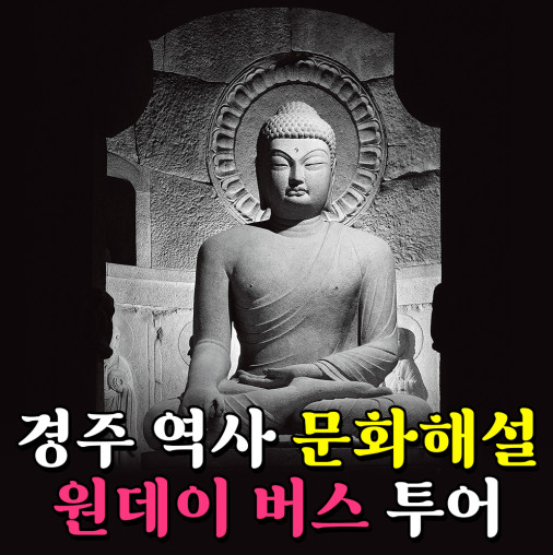 돌고래여행사 경주지점