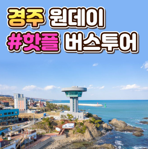 돌고래여행사 경주지점