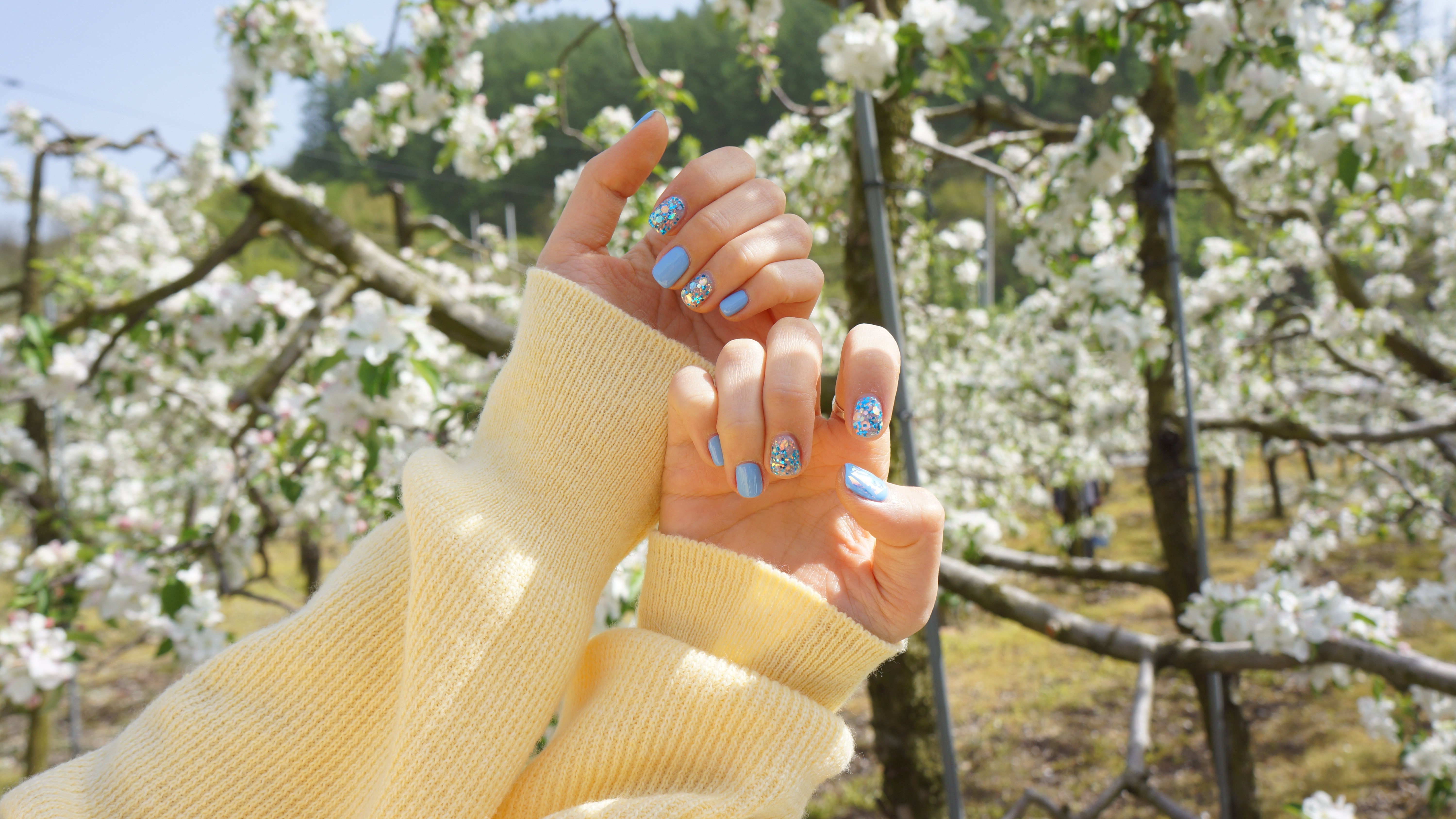 디자인바이네일샵 동대문점 대표 이미지