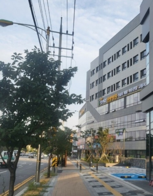 국제결혼 세아