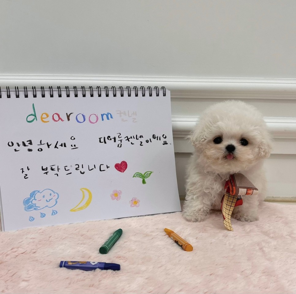 디어룸
