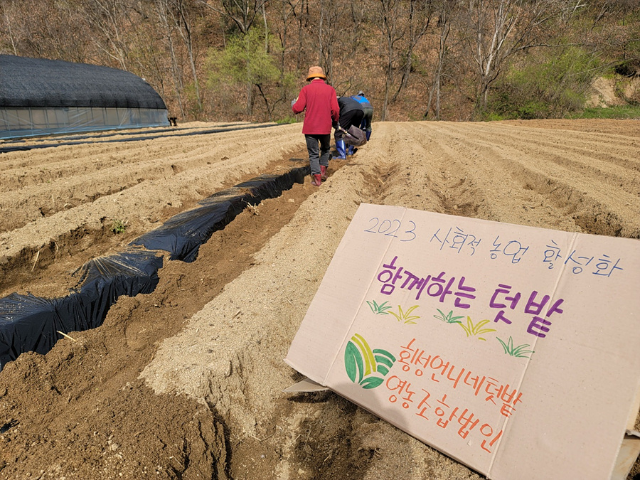 횡성언니네텃밭영농조합법인