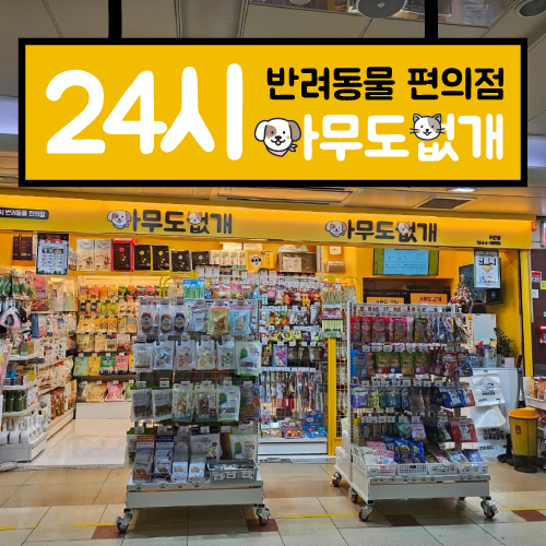 아무도없개 주안점 대표 이미지