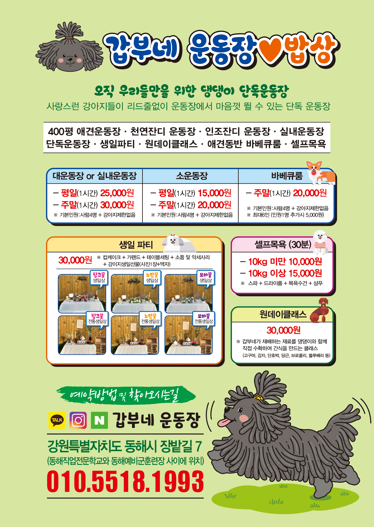 갑부네운동장 강원 애견여행지