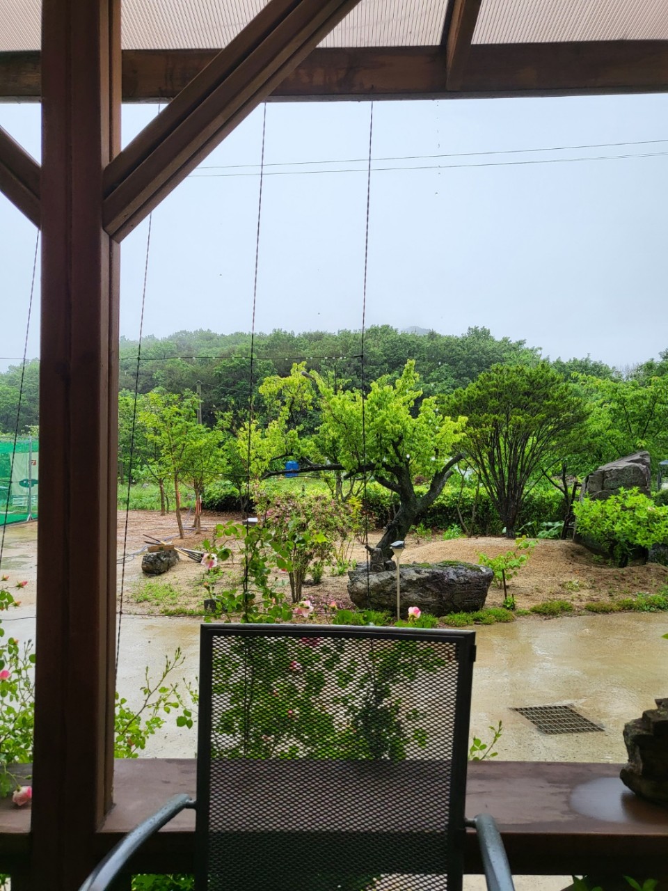 황학산비채숲펜션