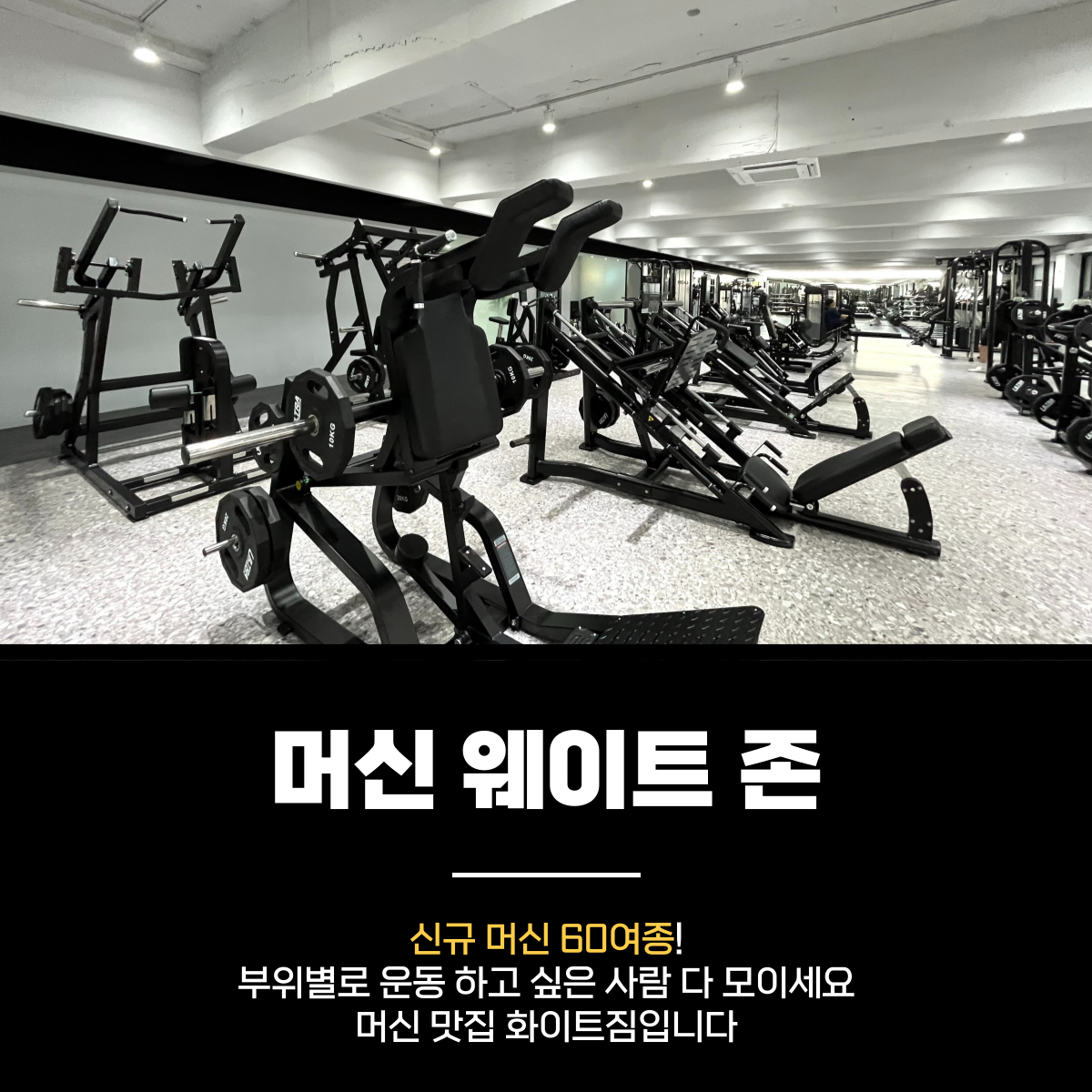 화이트짐 수원아주대점