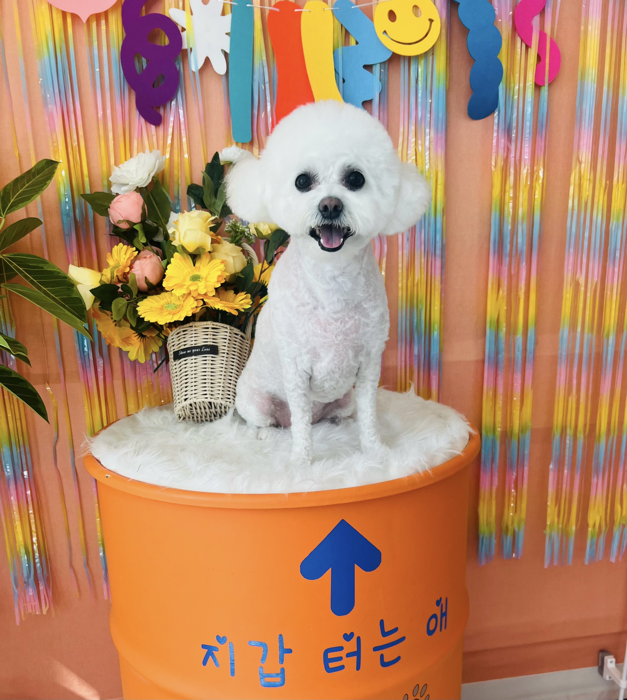 에바가위컷전문점 대표 이미지