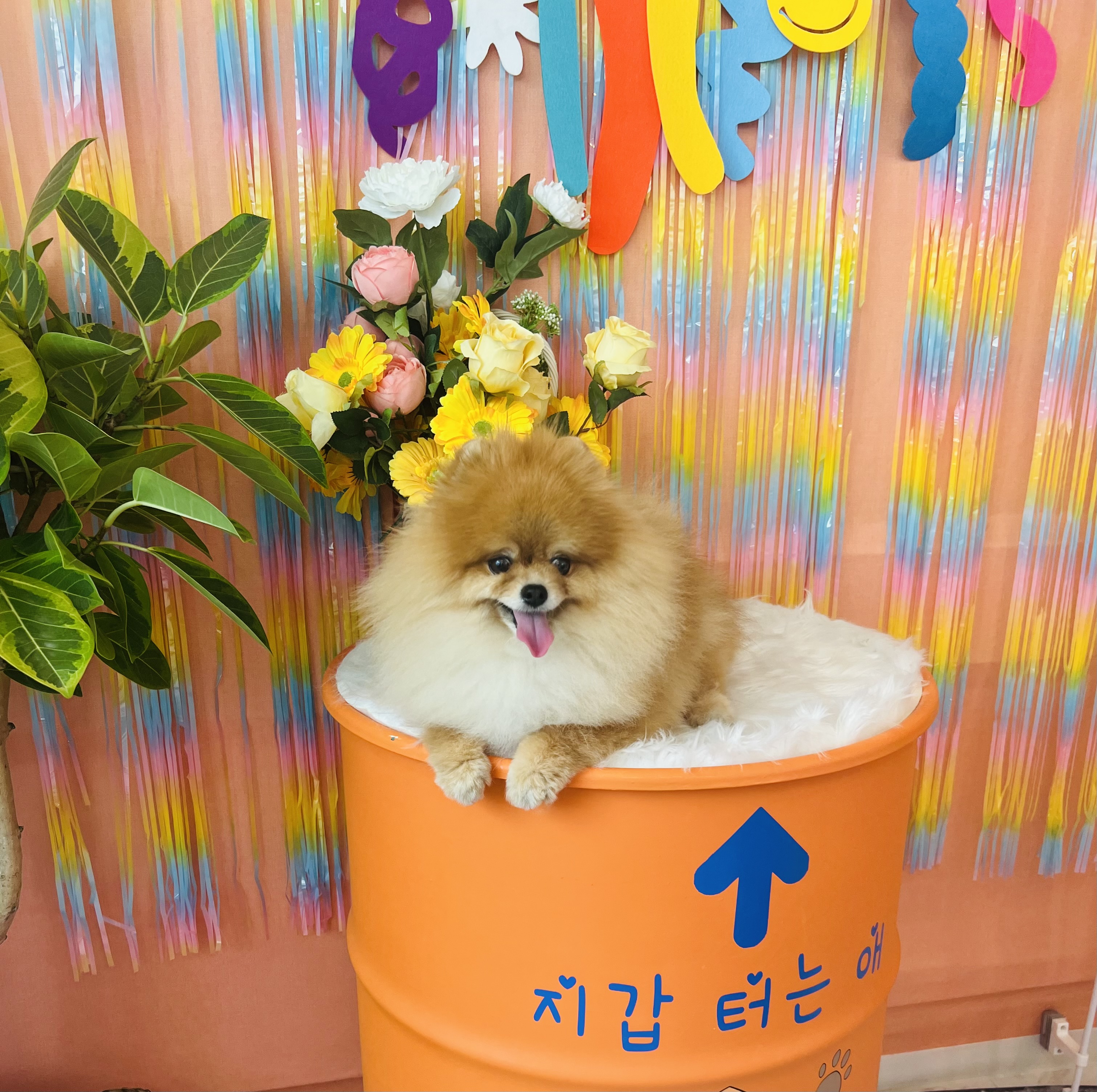 에바가위컷전문점 대표 이미지