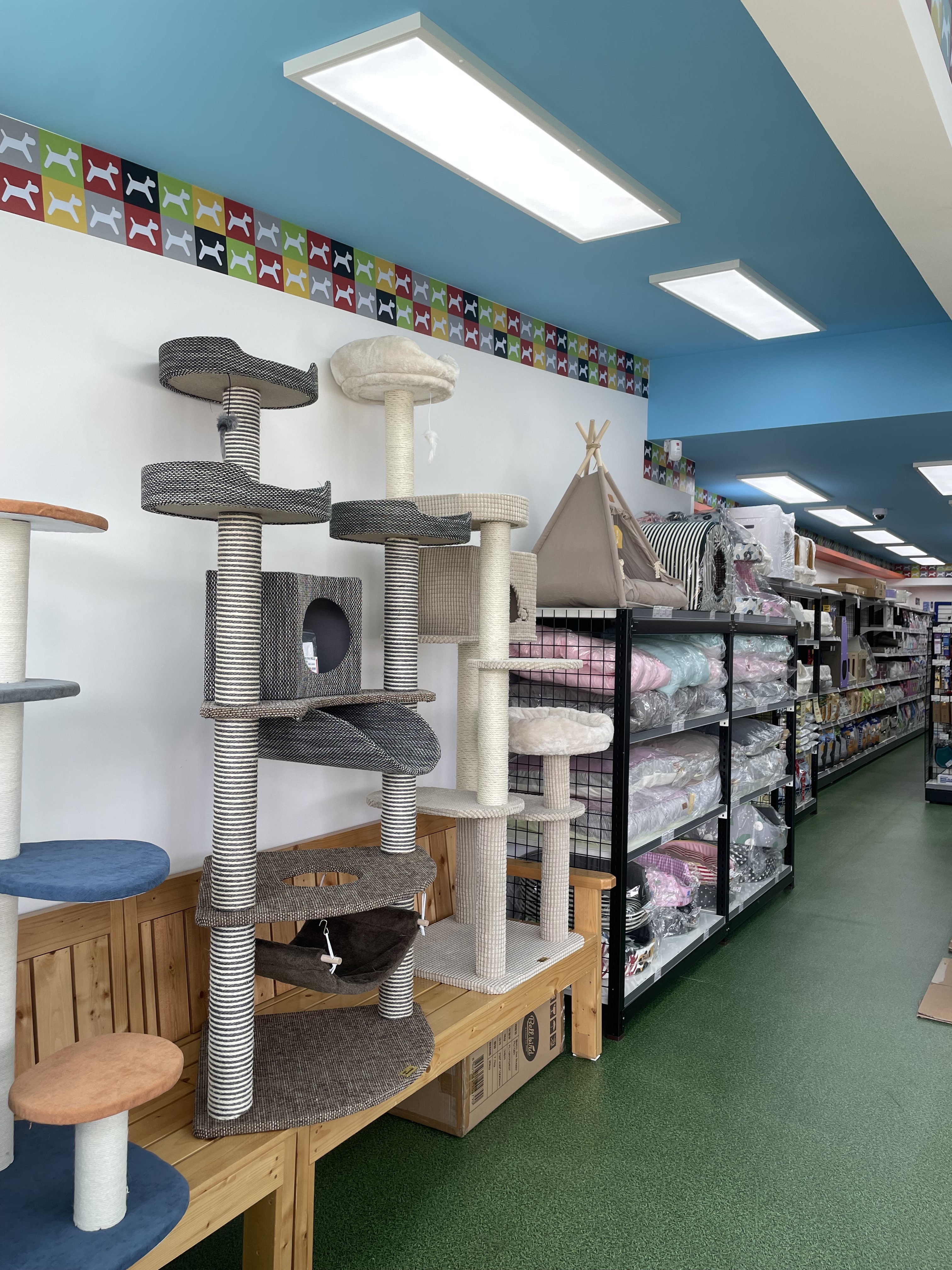 펫클럽 강릉주문진점 대표 이미지