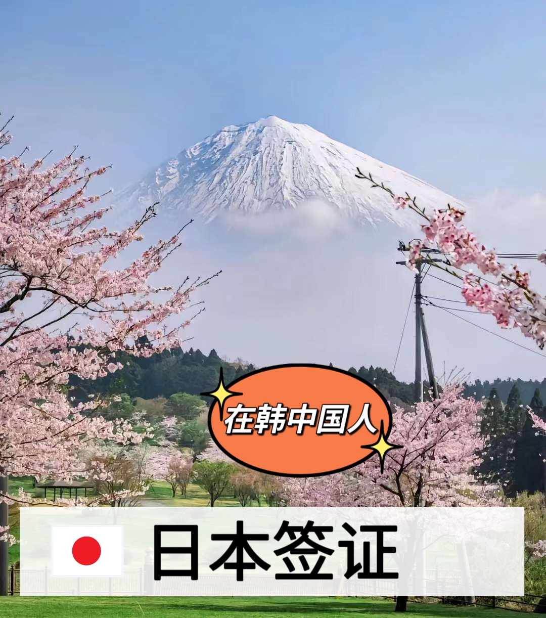 홍원국제여행사