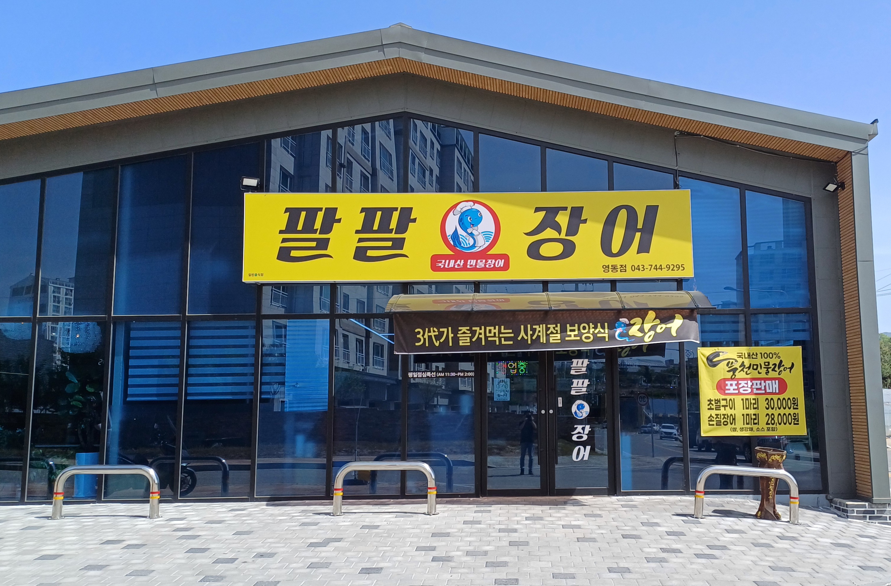 팔팔장어