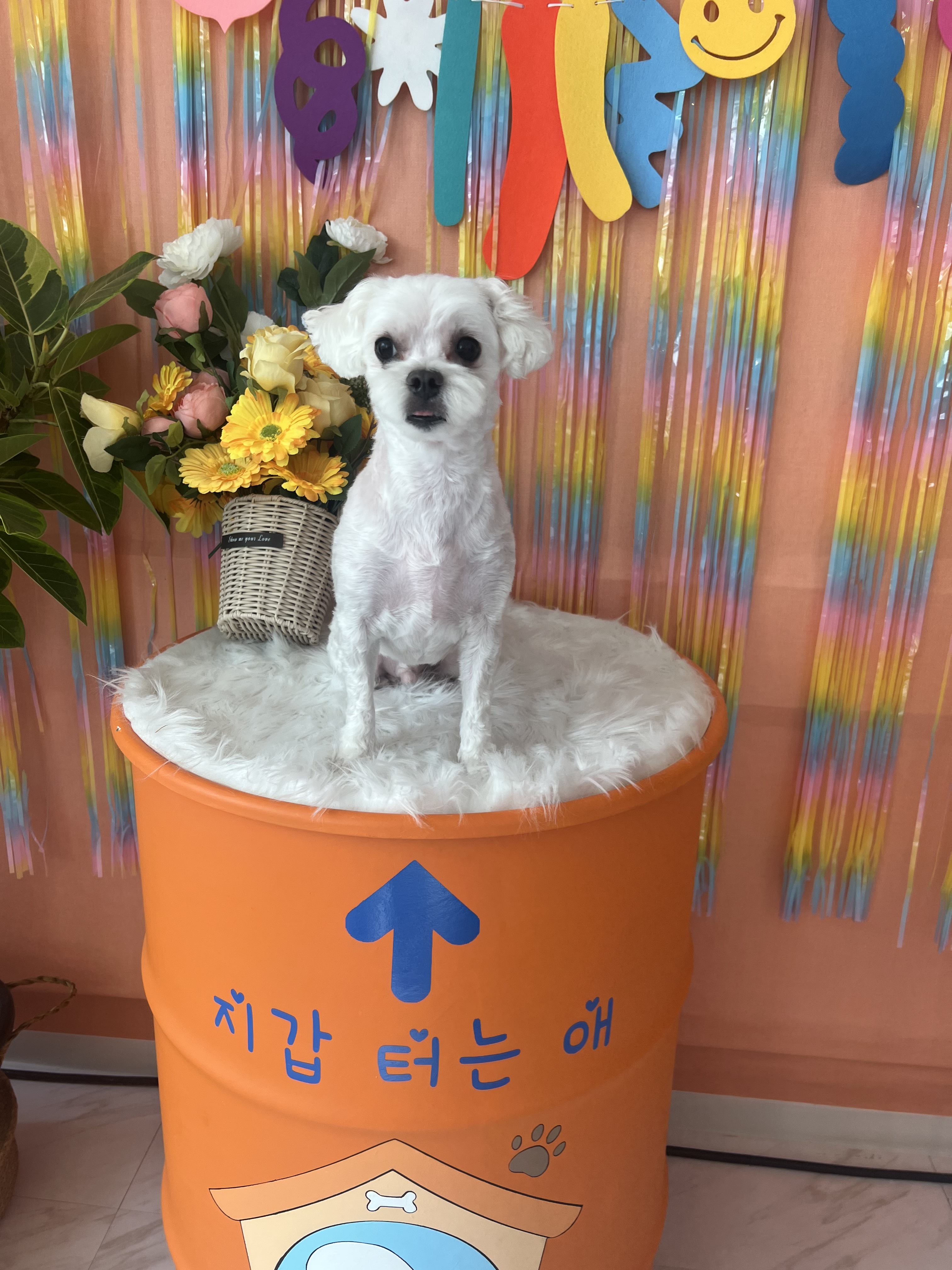 에바가위컷전문점 대표 이미지
