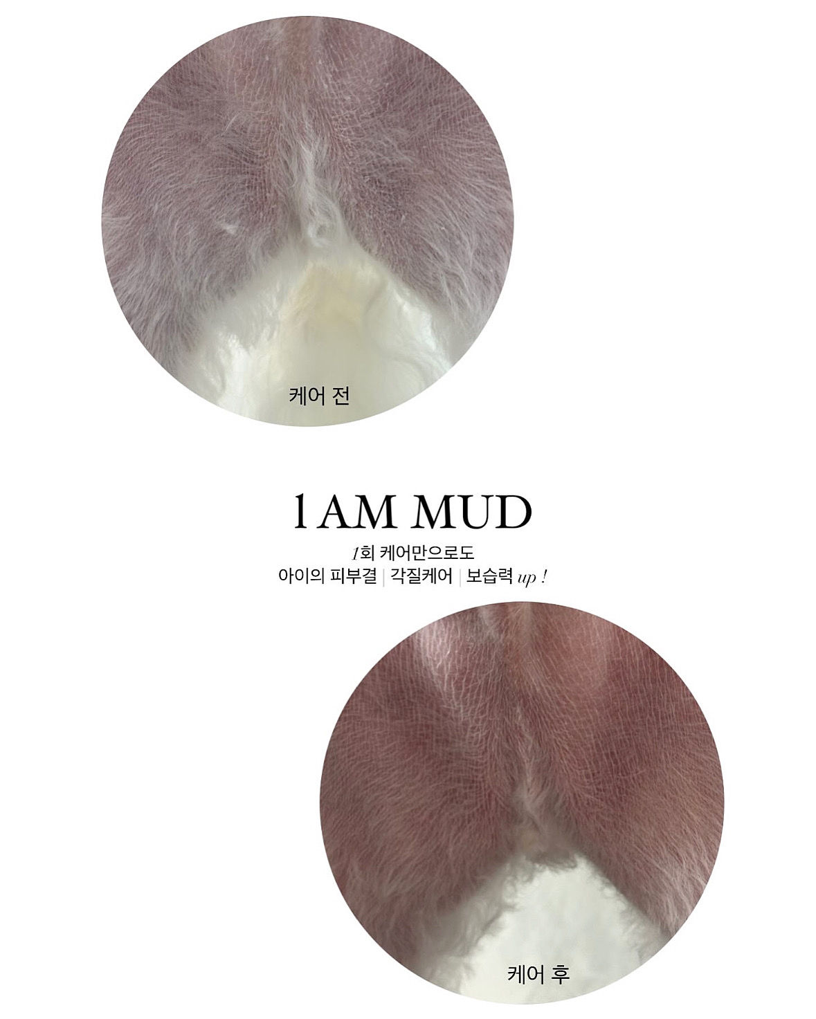 단비네애견미용실