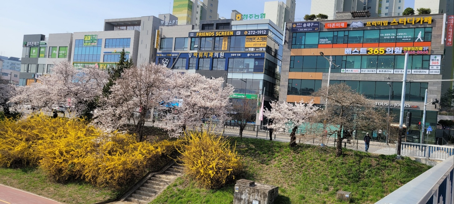 업체사진