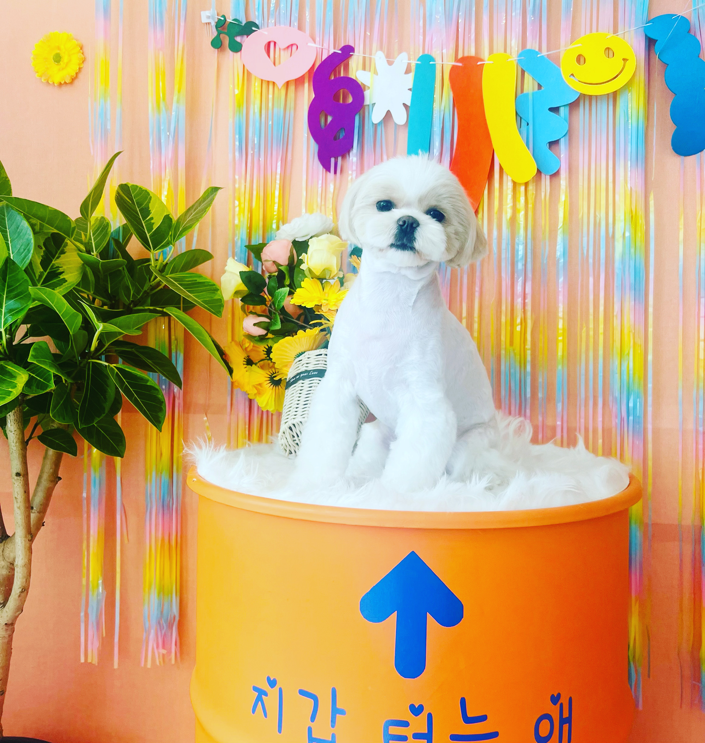 에바가위컷전문점 대표 이미지