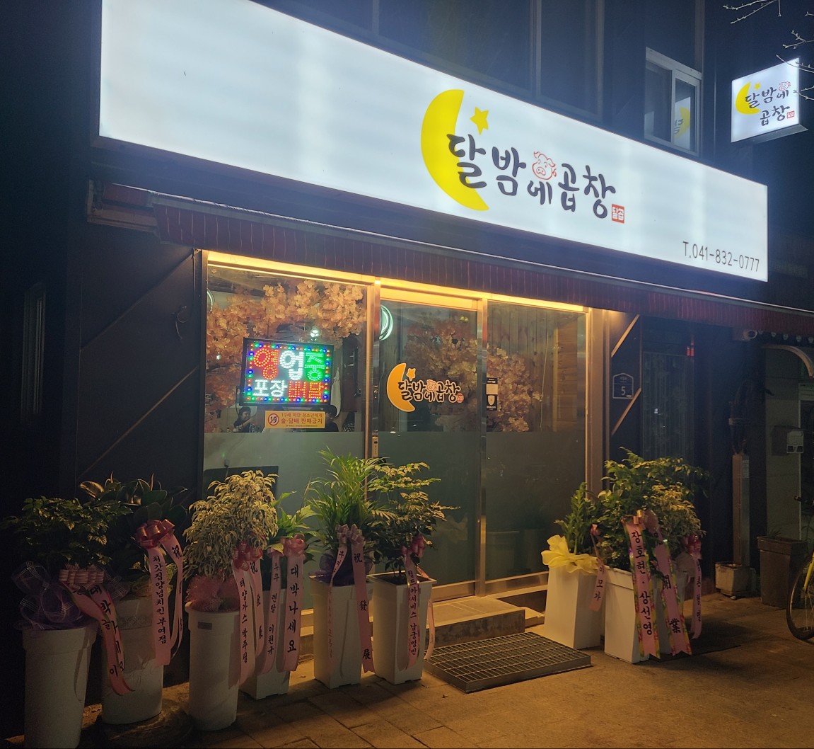 달밤에곱창