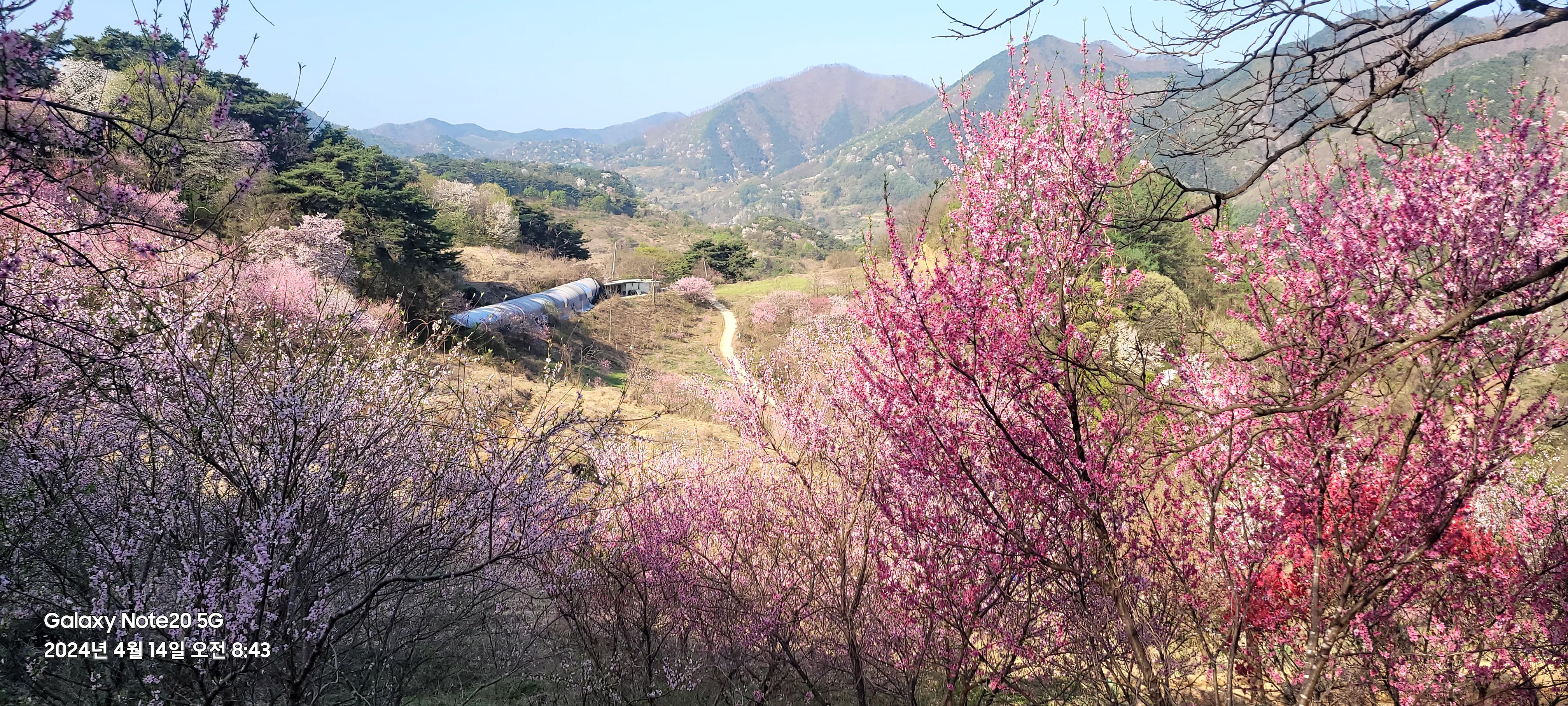 월악산 꽃피는산골 민박펜션