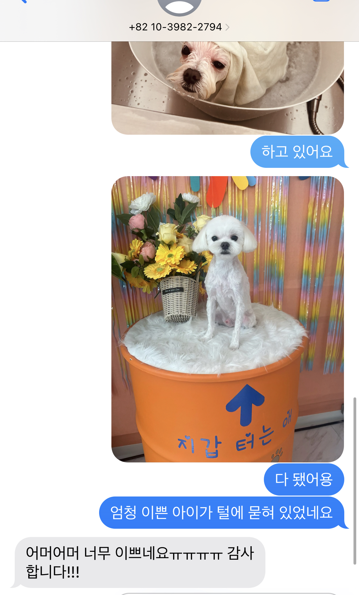 에바가위컷전문점 대표 이미지