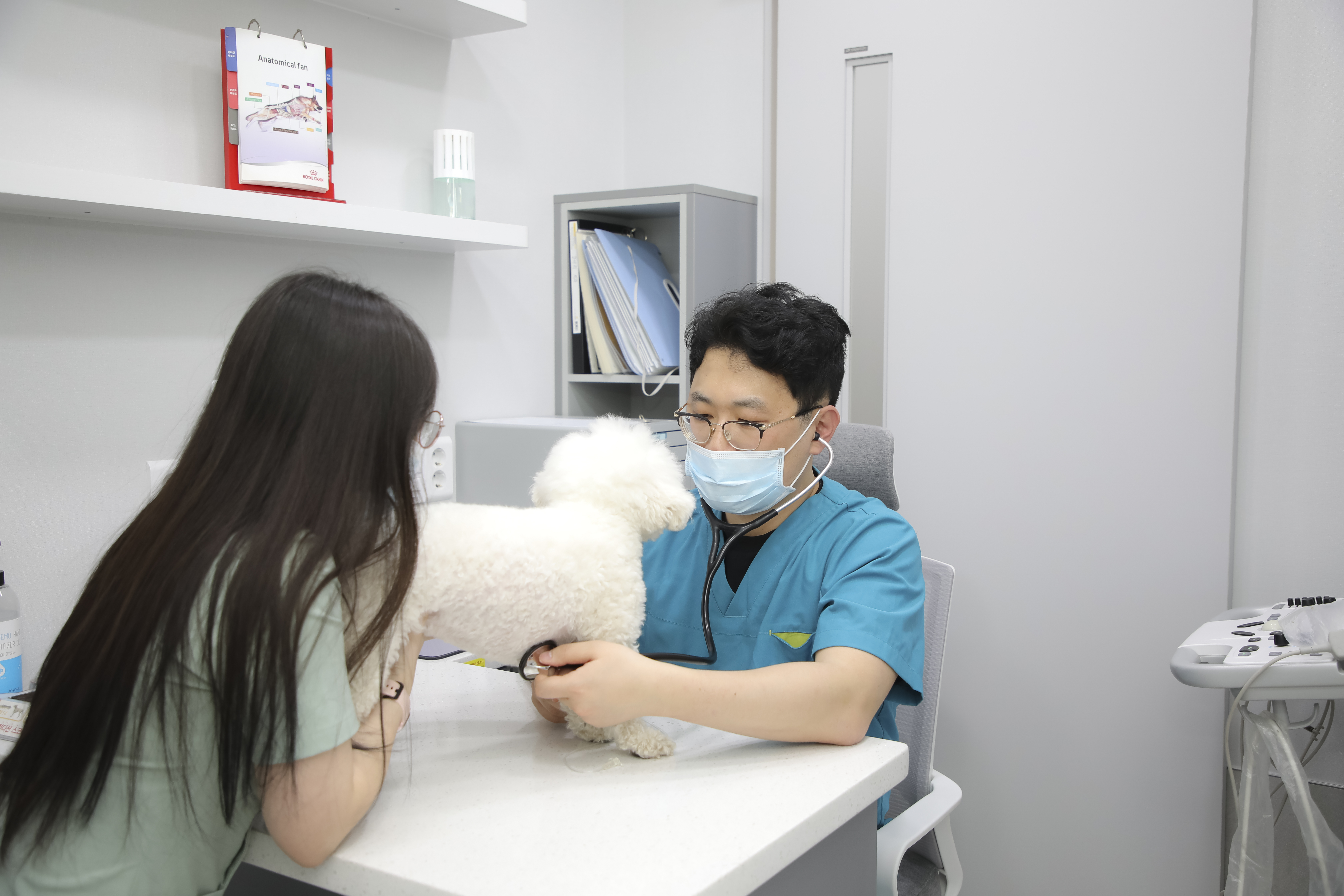 포레브동물의료센터 대표 이미지