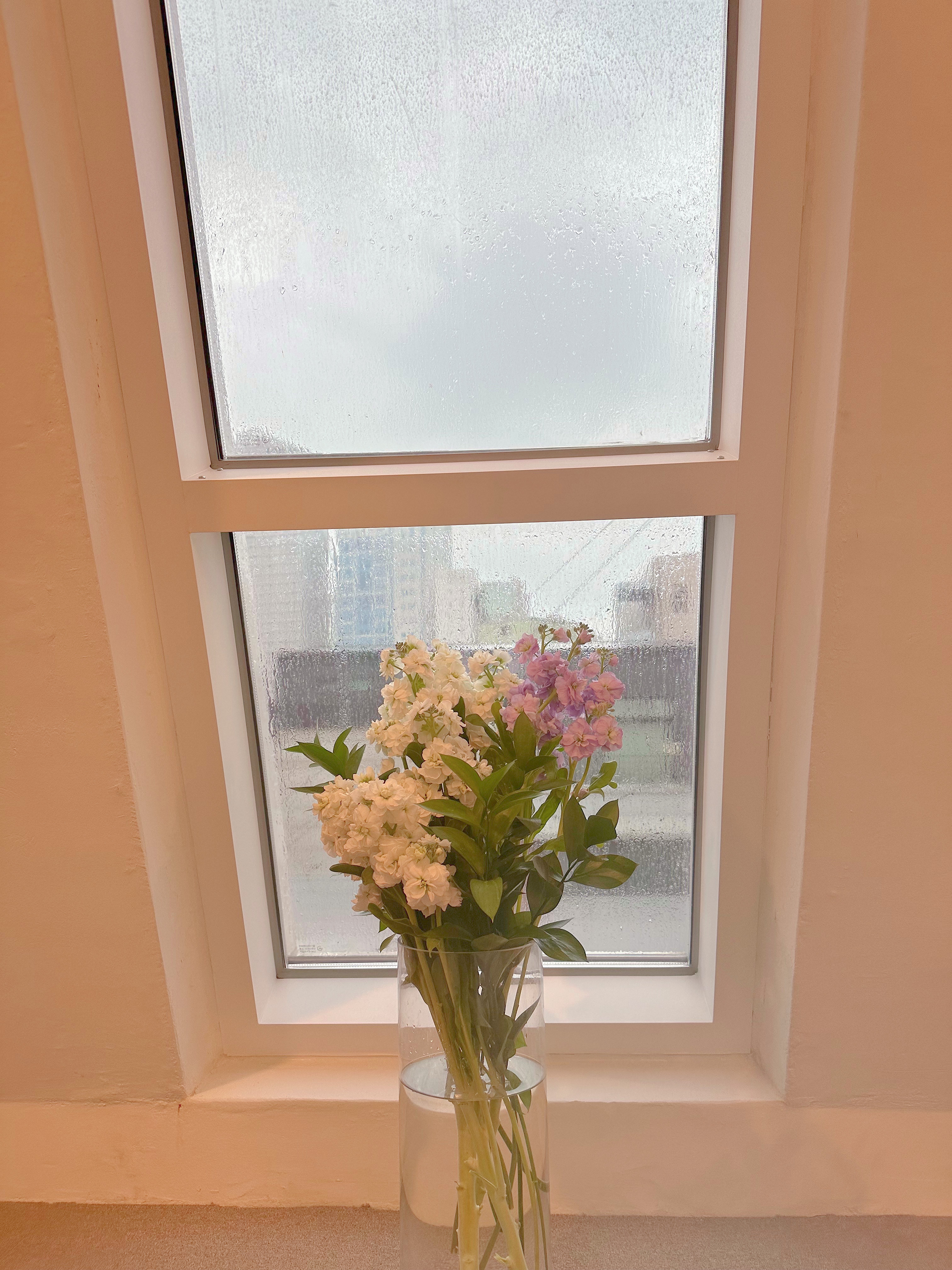 더 루시아 스튜디오 대표 이미지