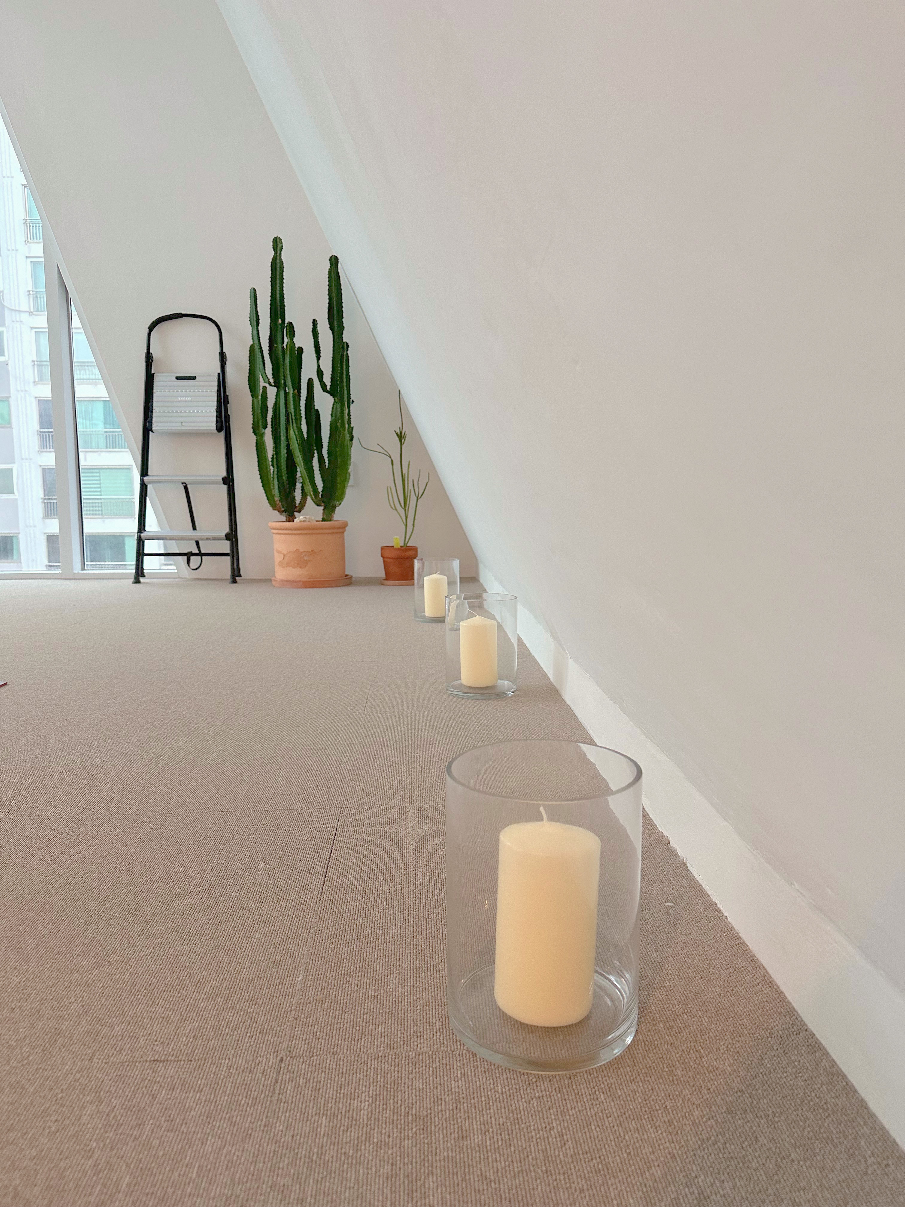 더 루시아 스튜디오 대표 이미지