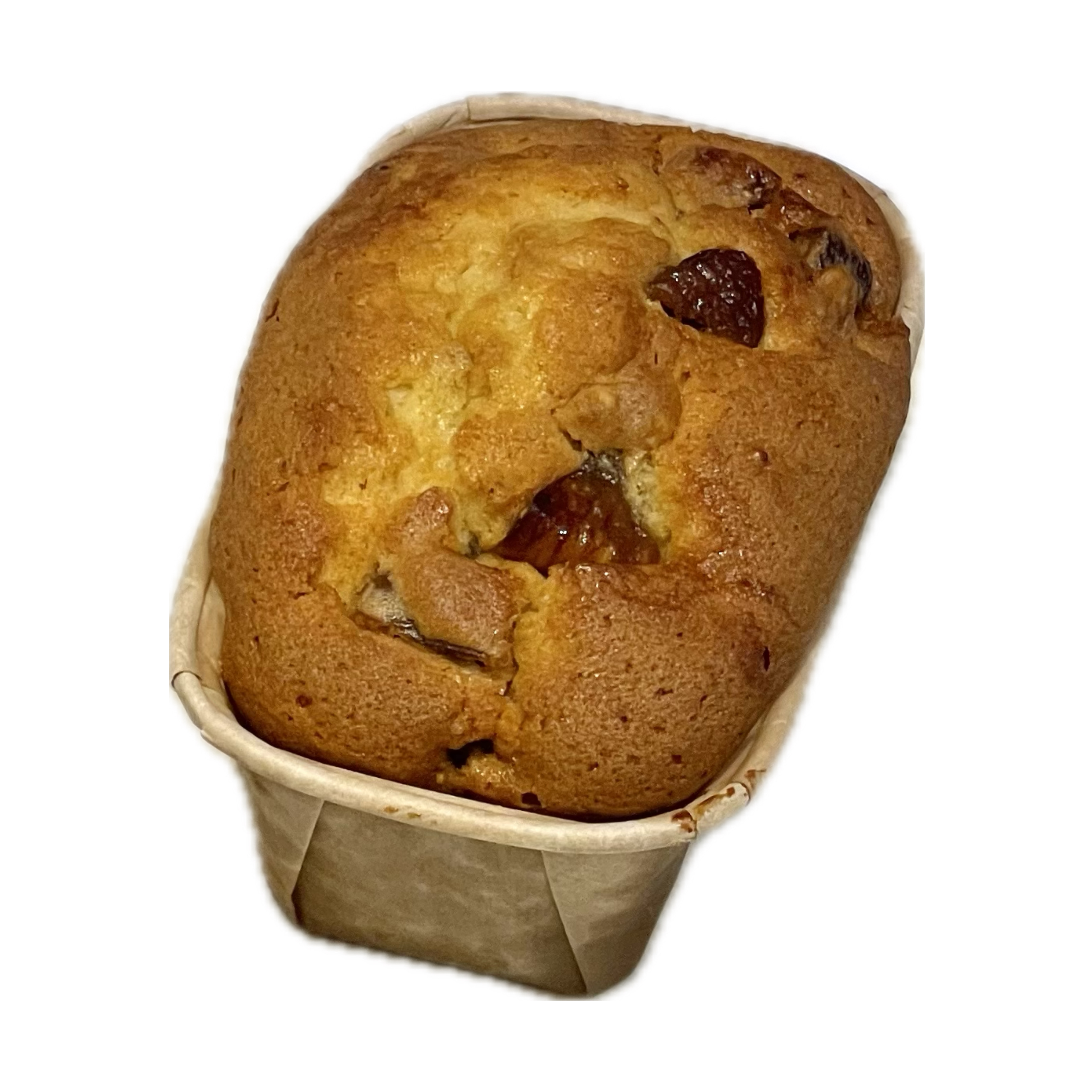 비디펌 힐링까사