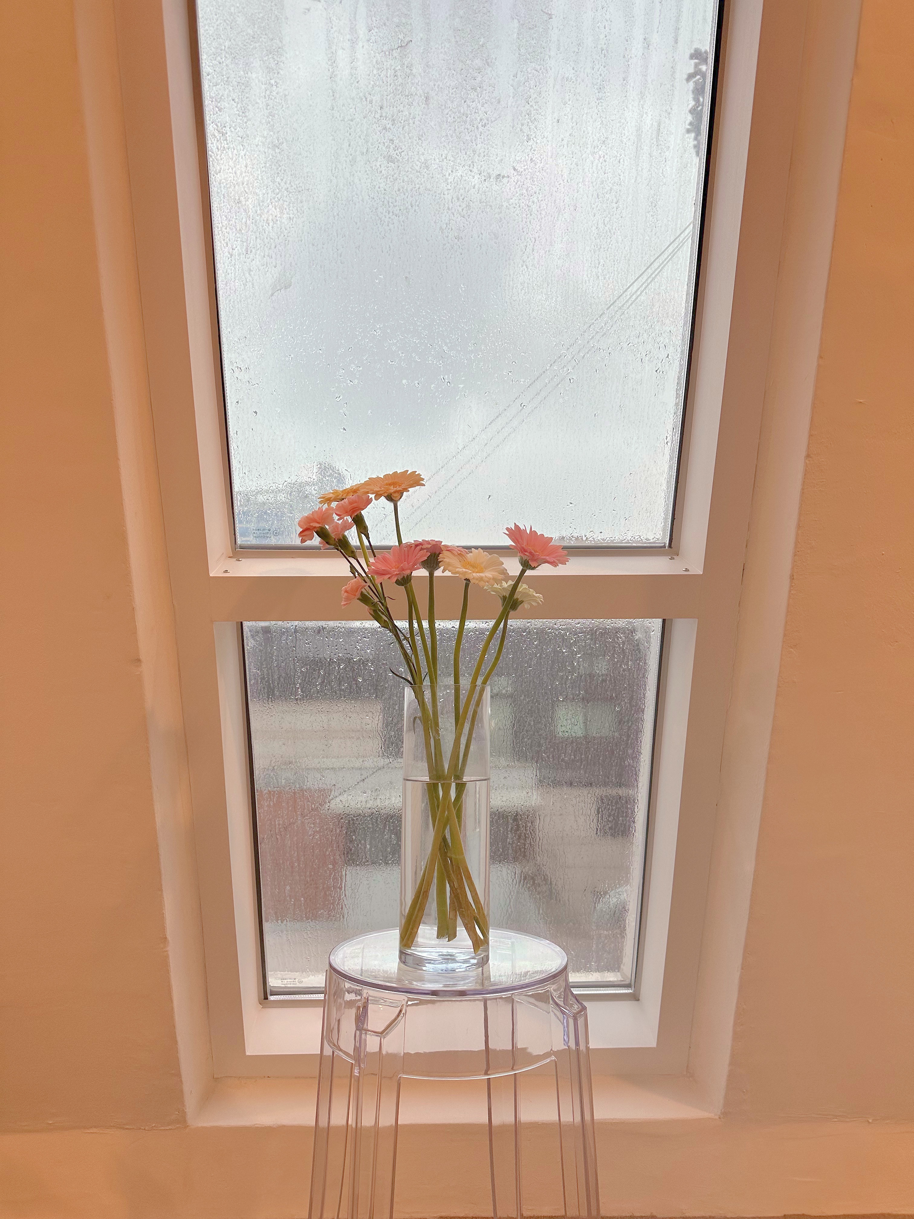 더 루시아 스튜디오 대표 이미지