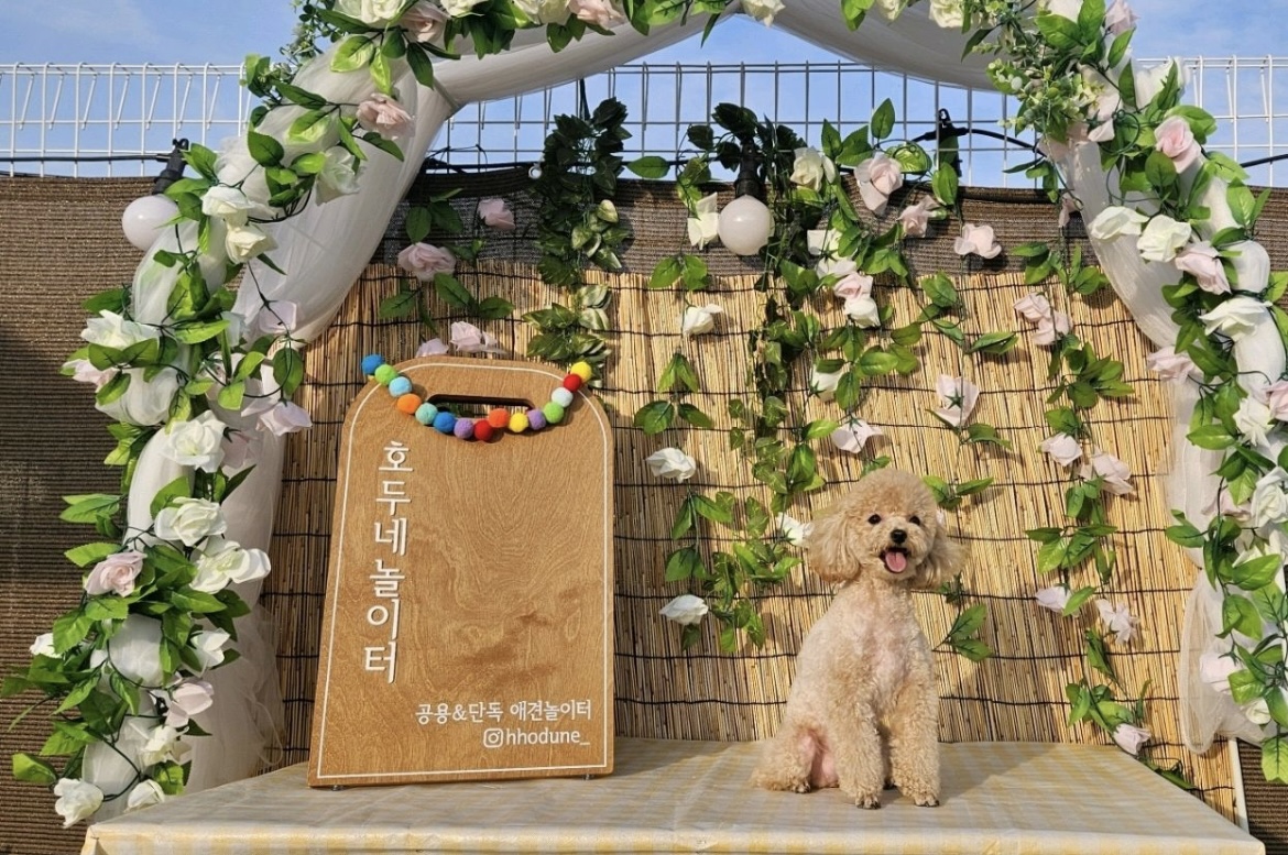 호두네놀이터 3