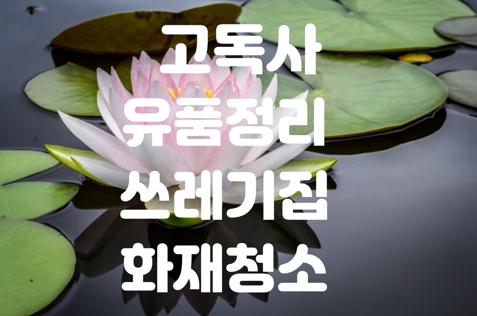 특수청소