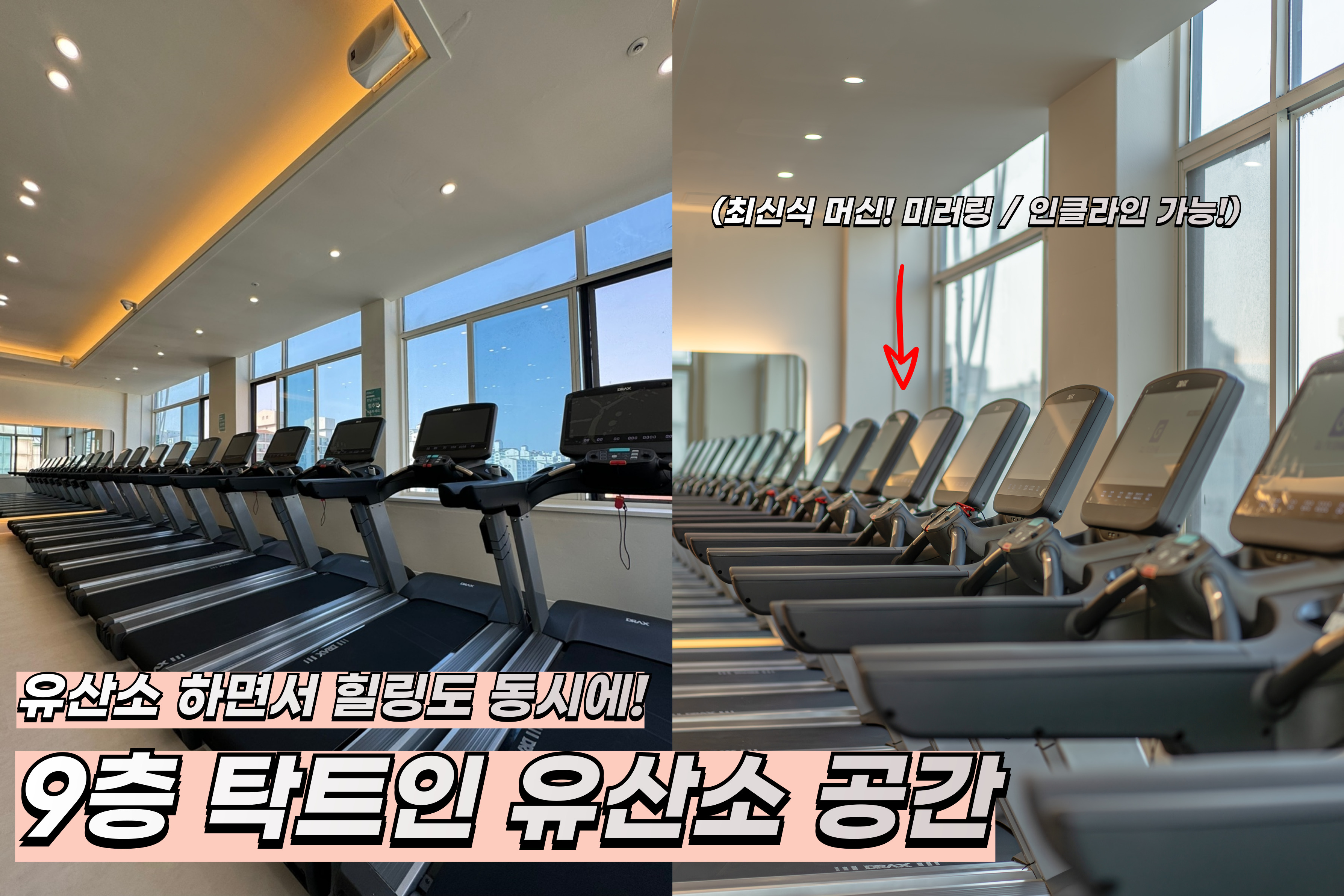 여성전용 포레스트짐 헬스&피티 주엽점