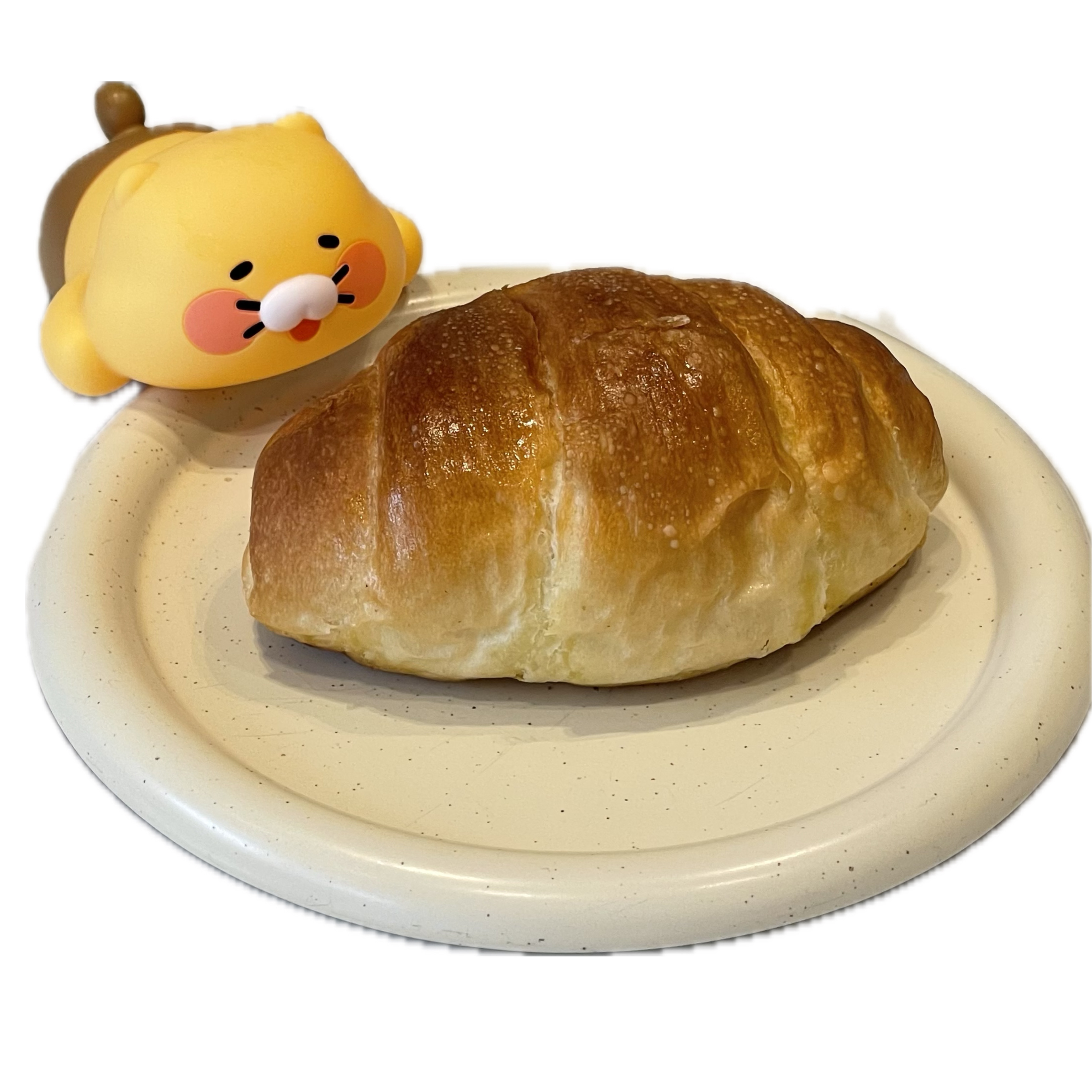비디펌 힐링까사