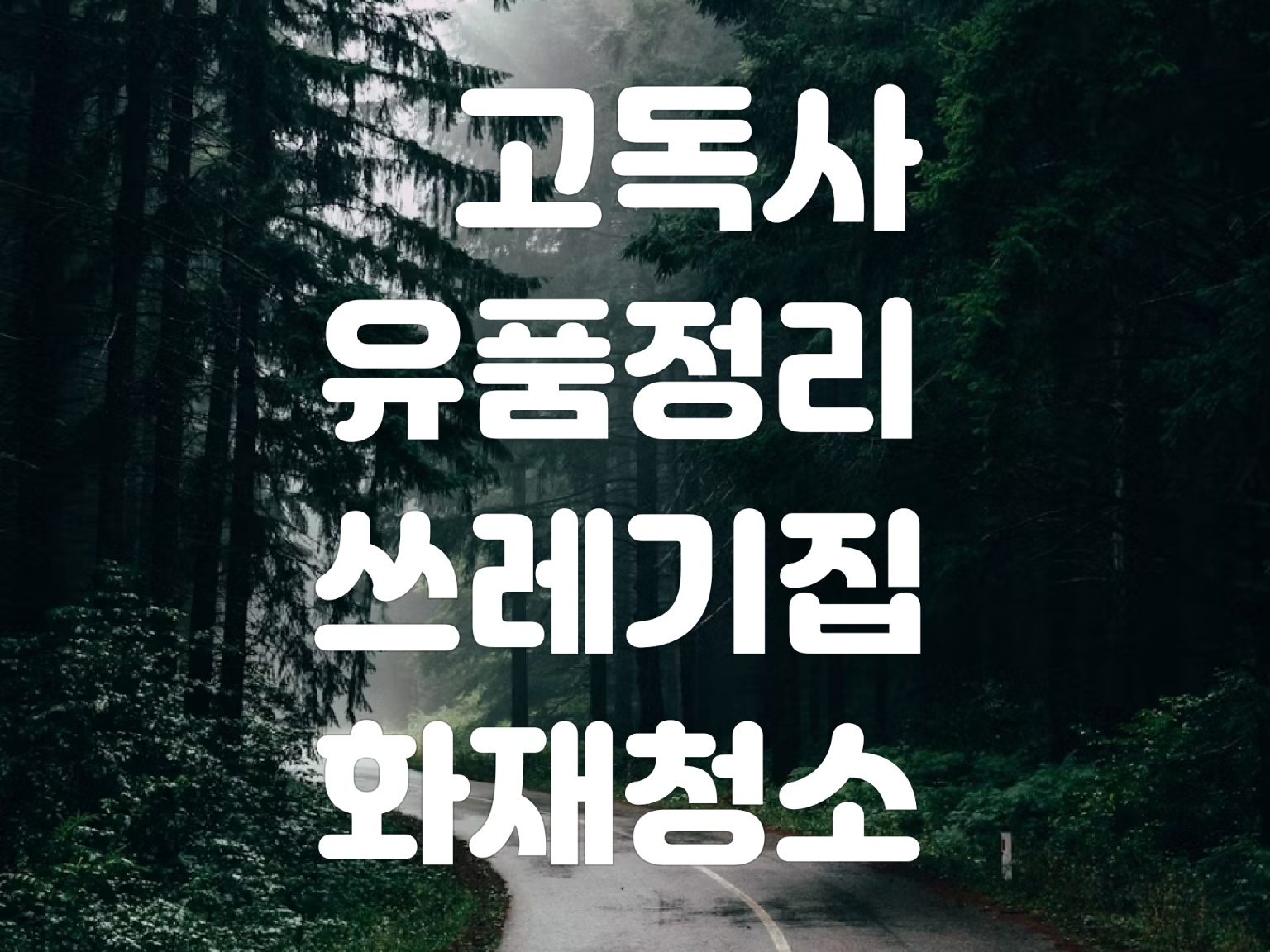 특수청소