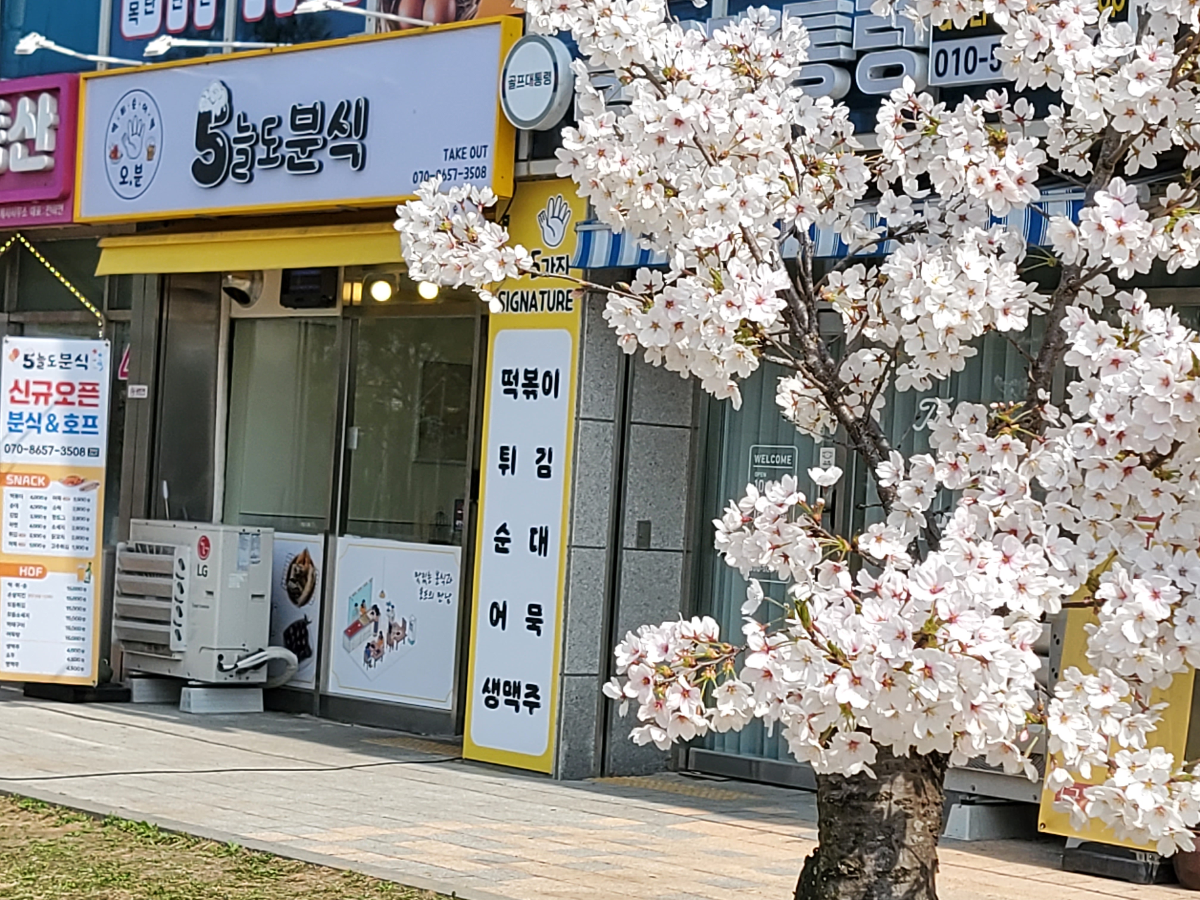 5늘도분식