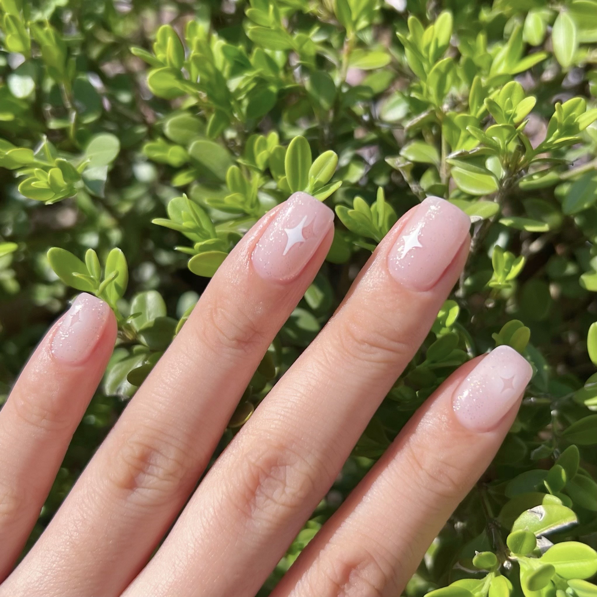 르네상스 대표 이미지