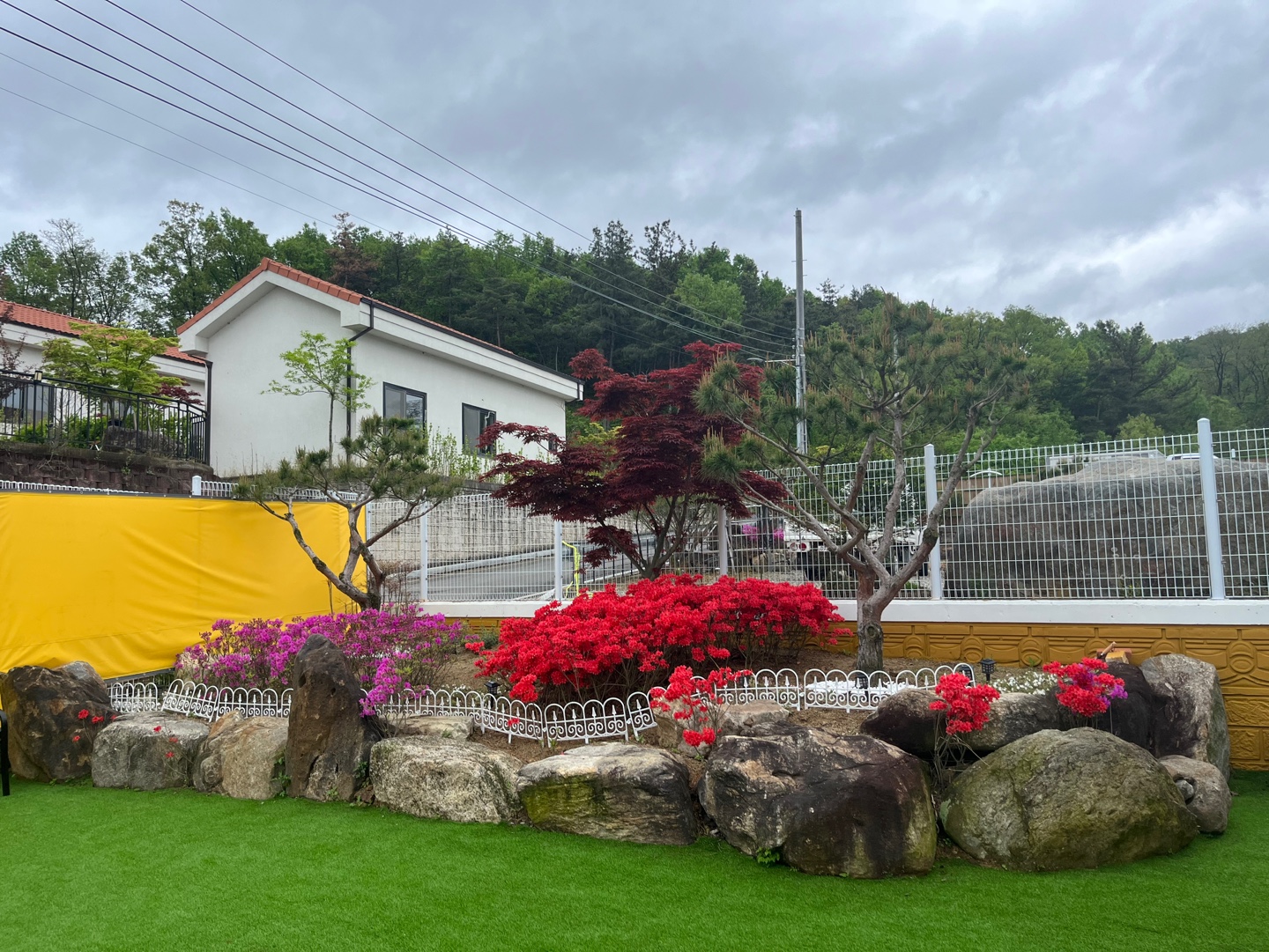 놀러오개 애견유치원 애견호텔 산동옥계점 대표 이미지