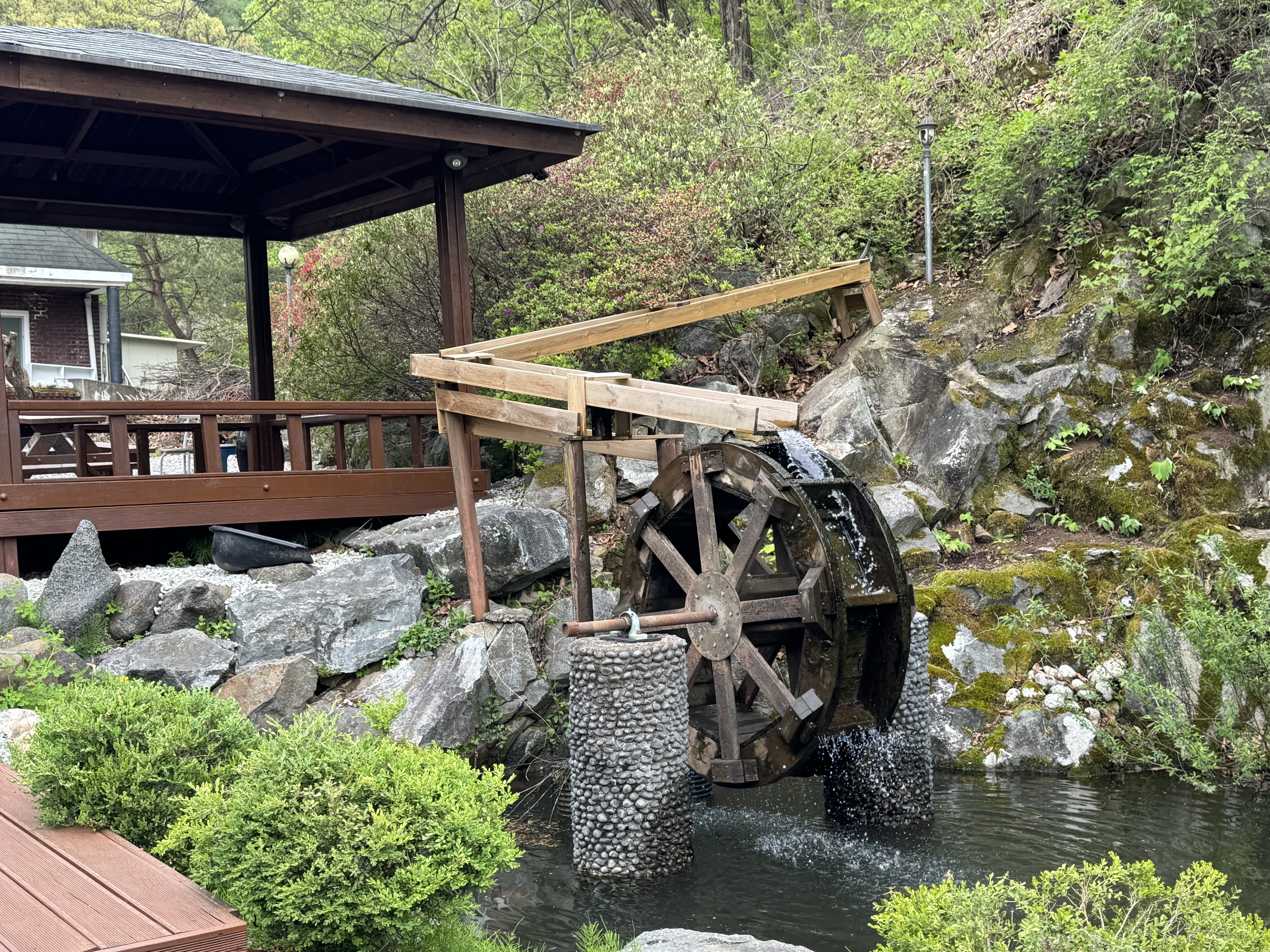 삼오촌두부