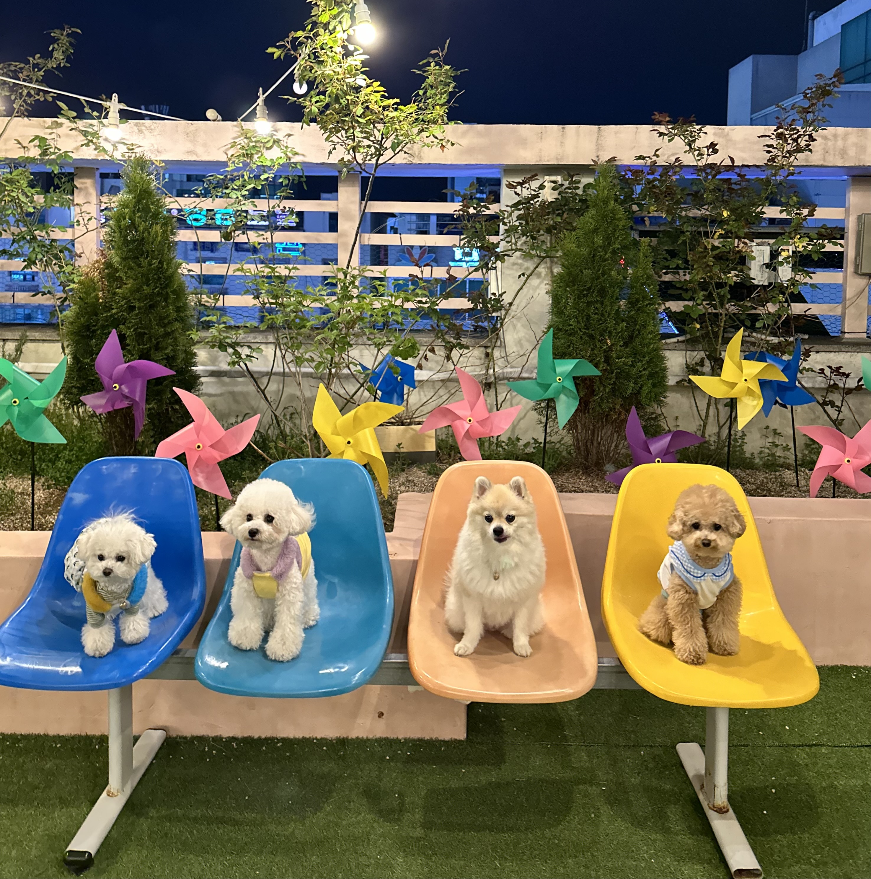 카페또또 5
