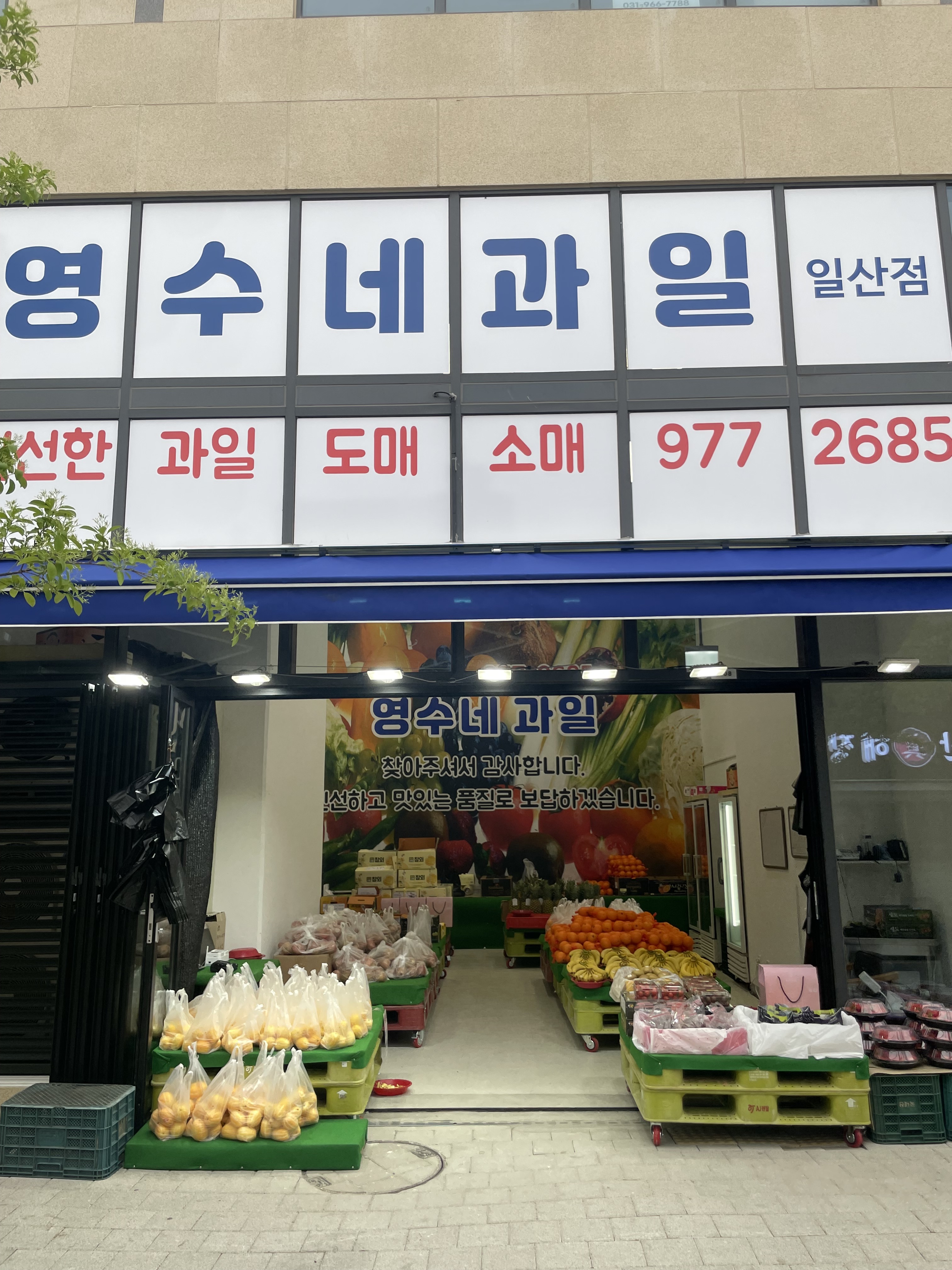 영수네과일