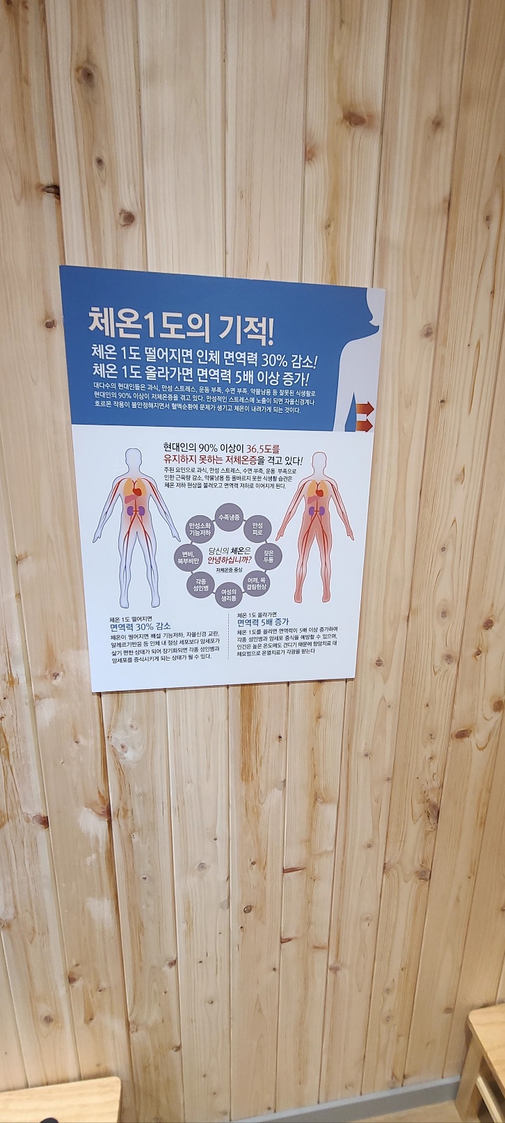 헤라뷰티점핑다이어트