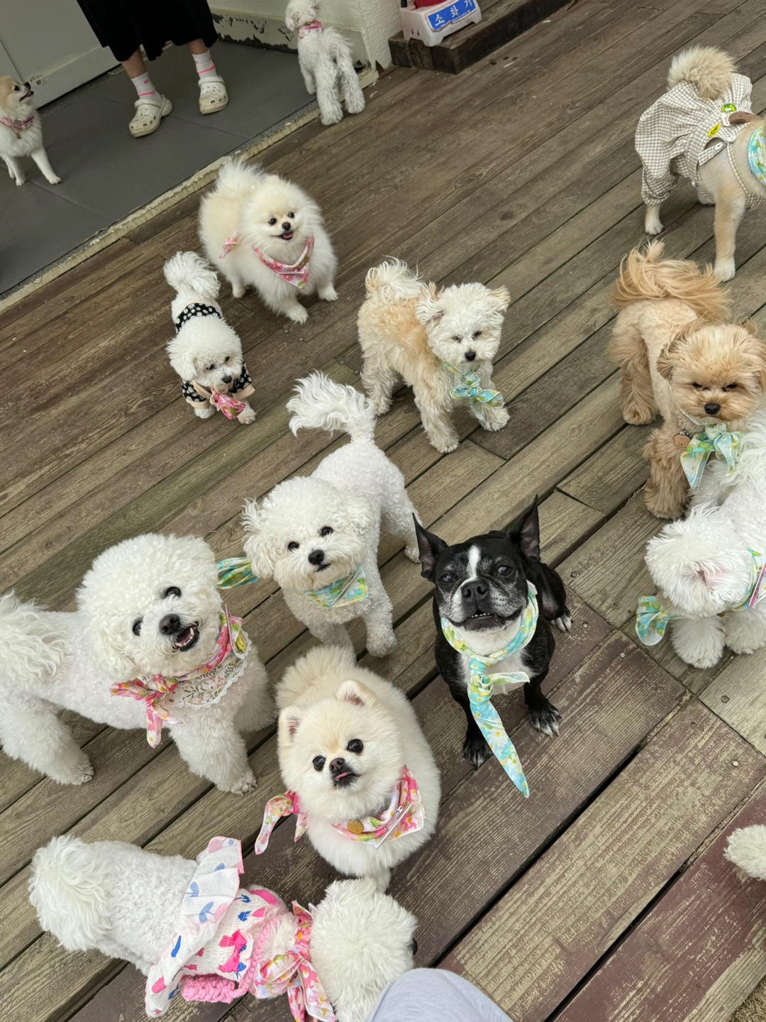 카페또또 3