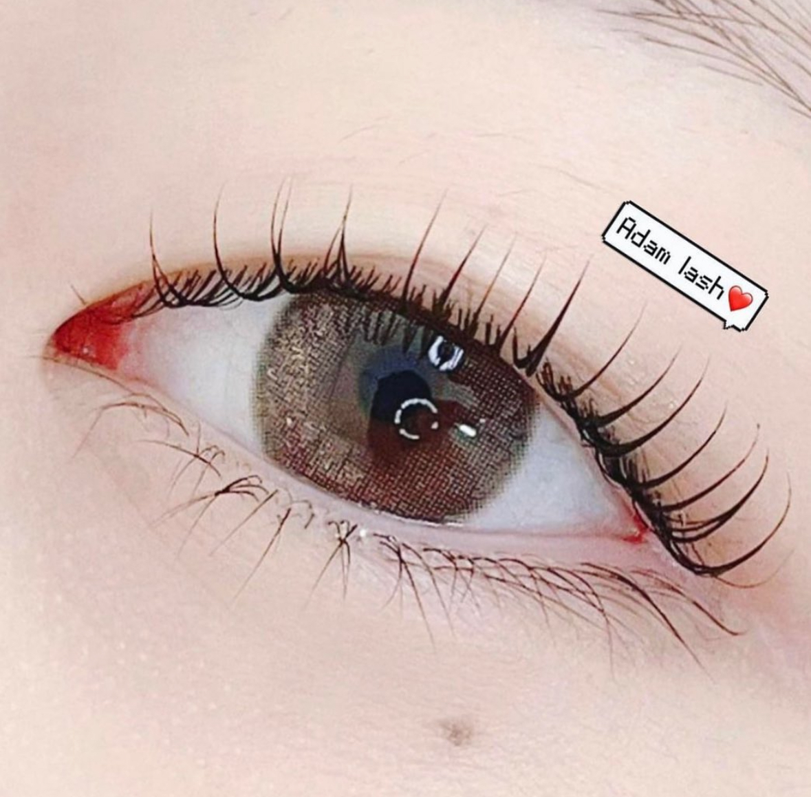 아담 눈썹왁싱속눈썹
